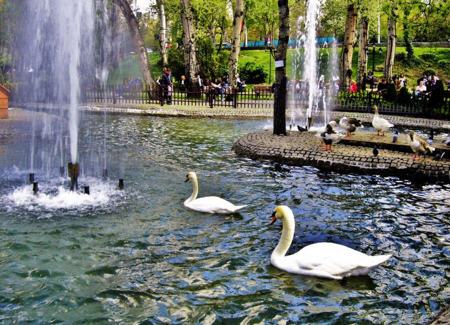 Лебединый парк, Анкара, Турция
