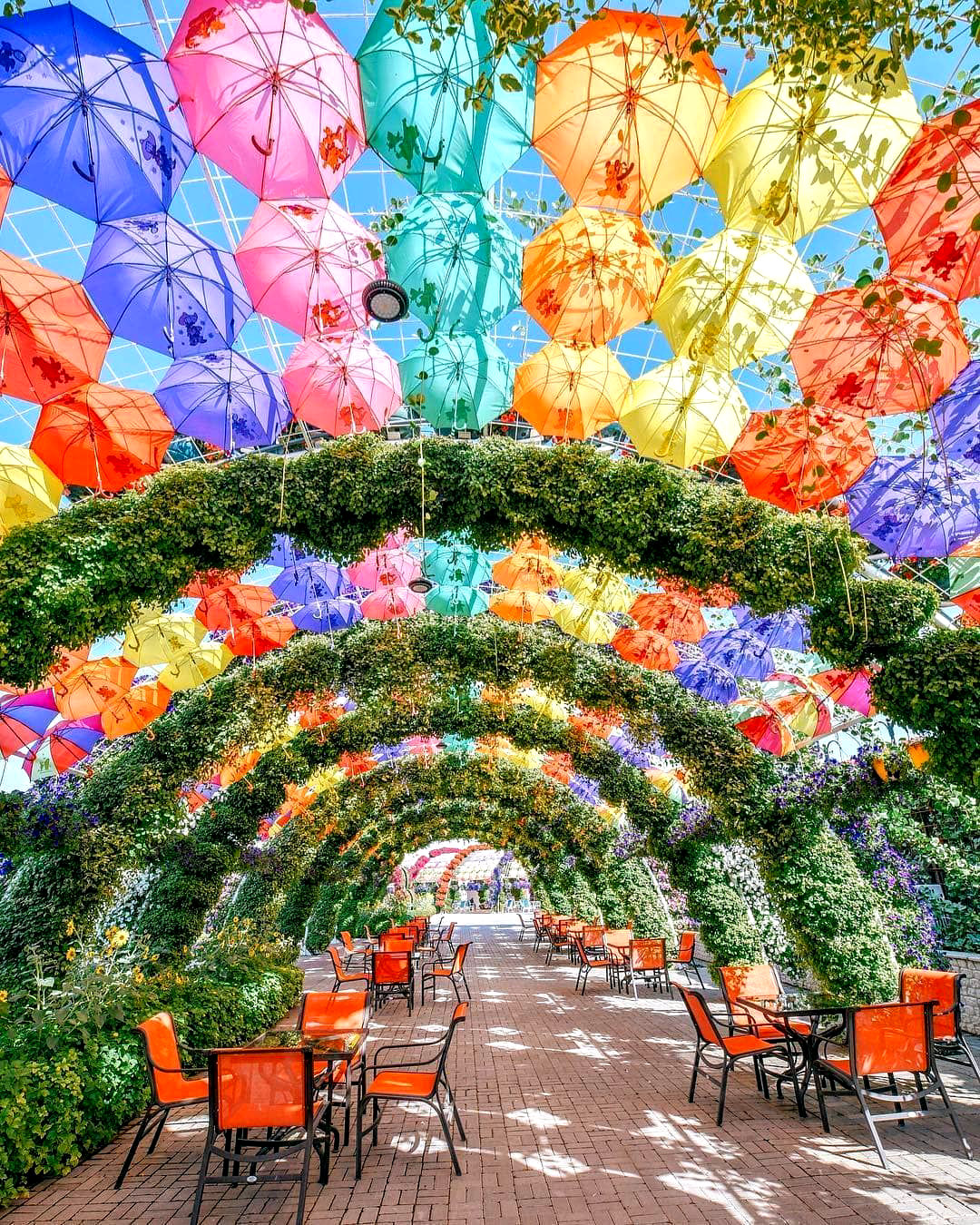 Арка из цветов и разноцветных зонтиков отличная локация для фото