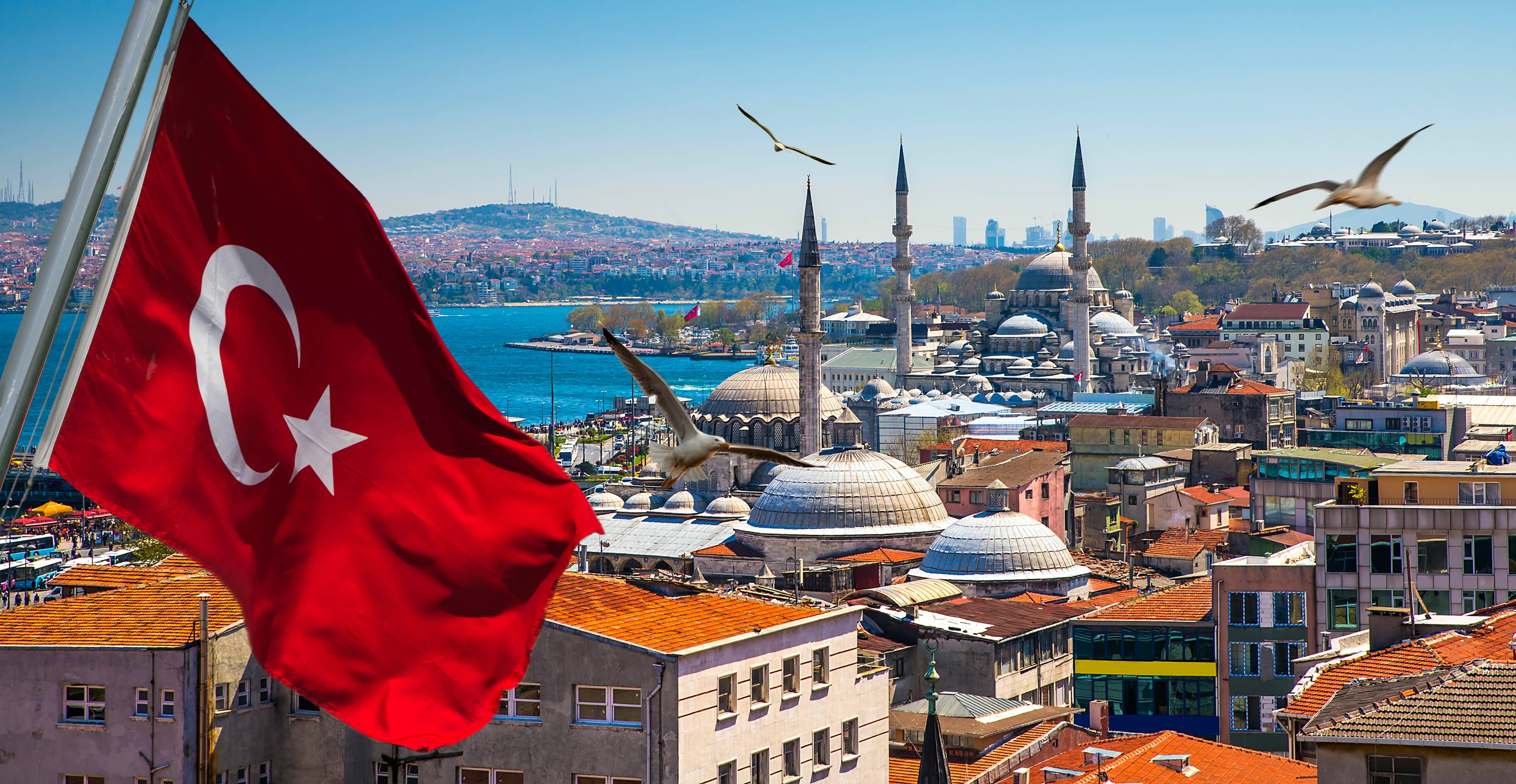 Стамбул и флаг Турции