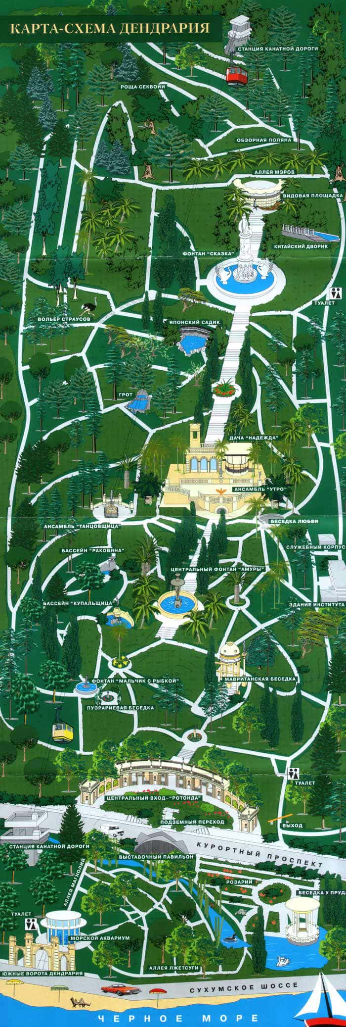 Карта-схема сочинского дендрария