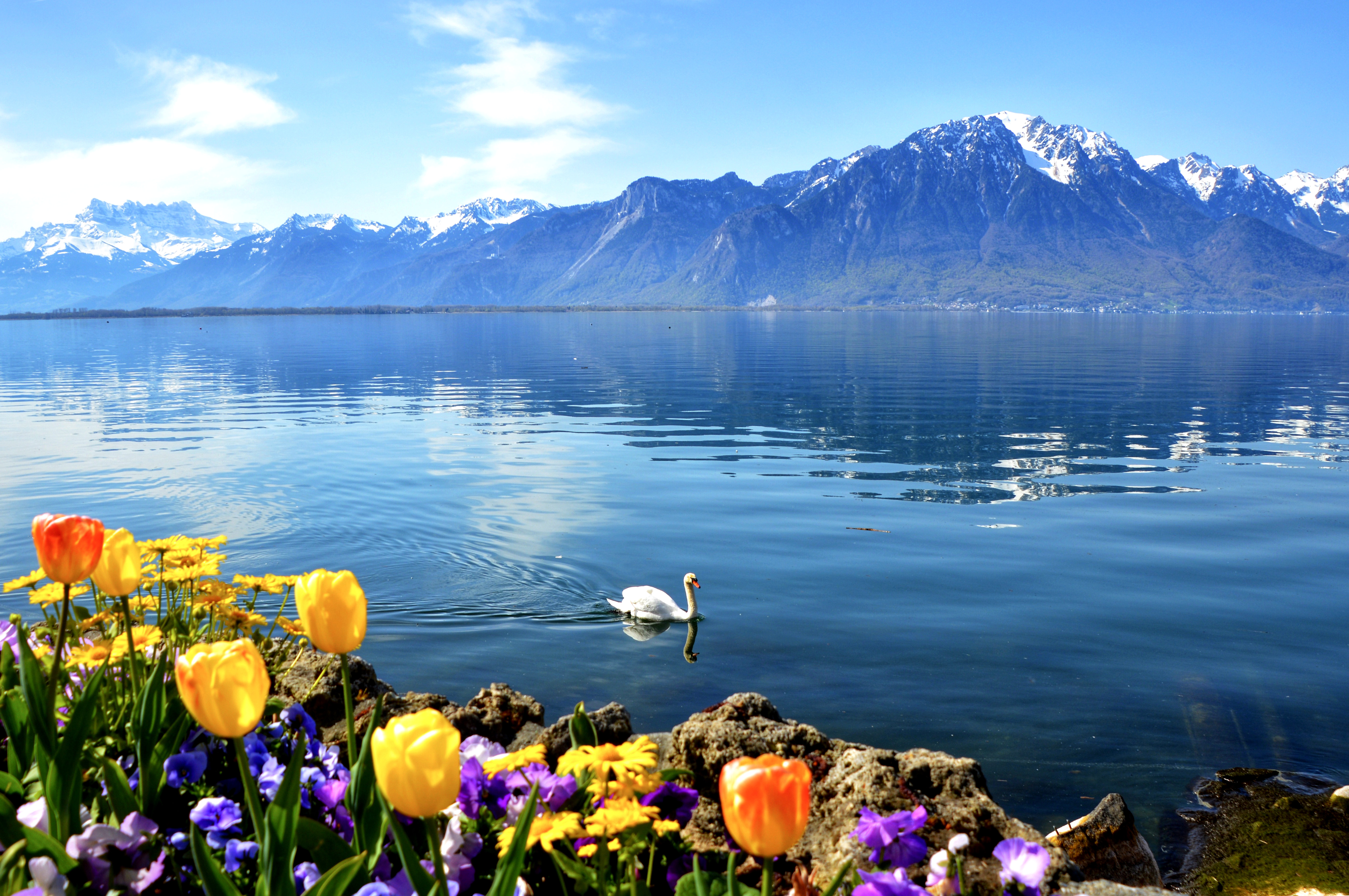 Женевское озеро под поверхностью земли