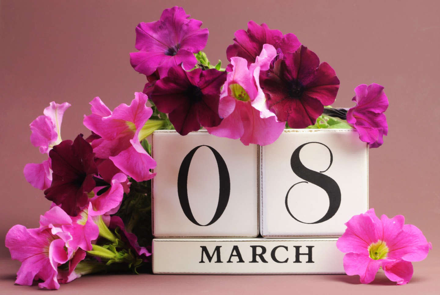 08 марта — Международный женский день