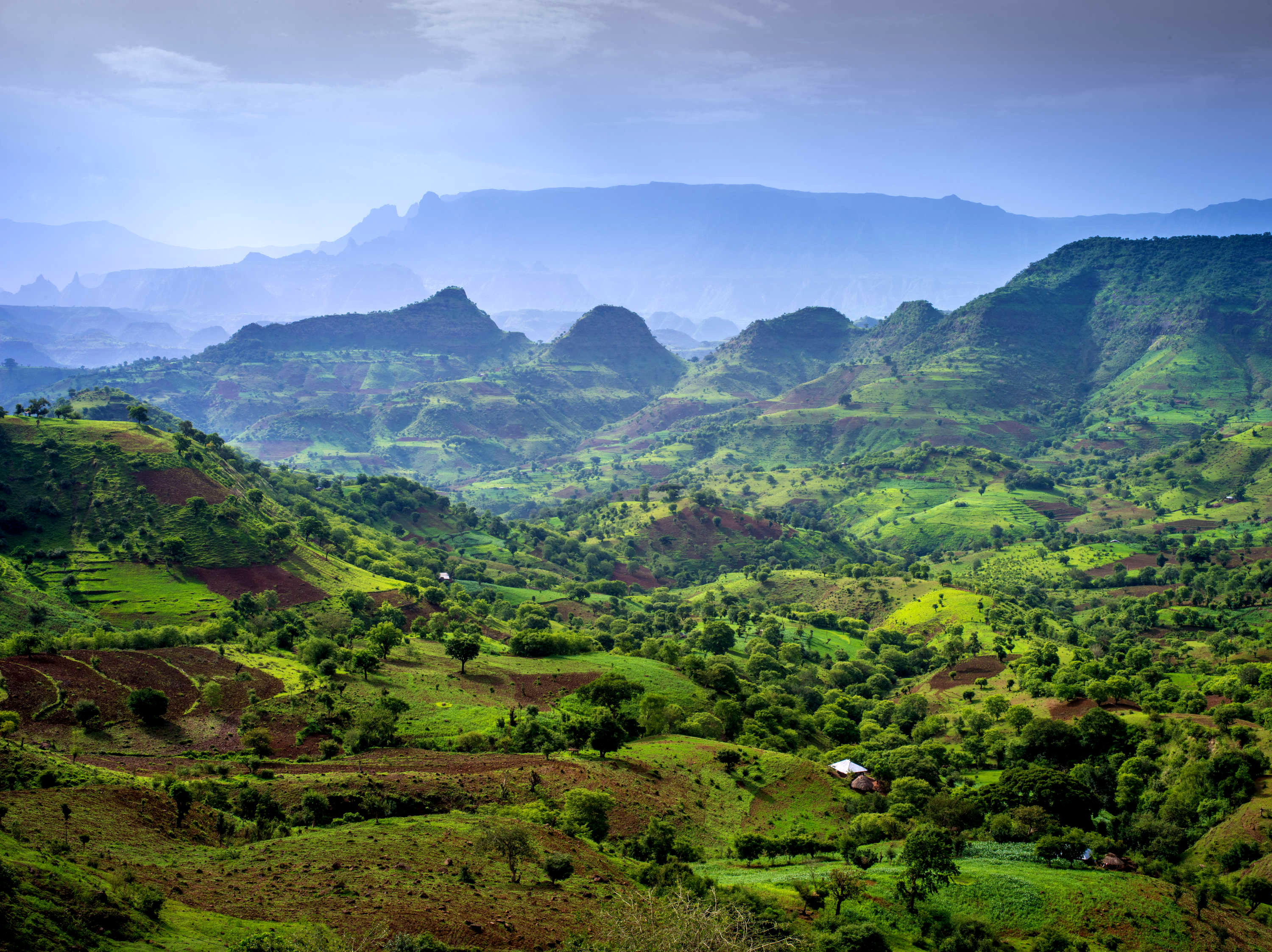 Национальный парк Сымен, Эфиопия