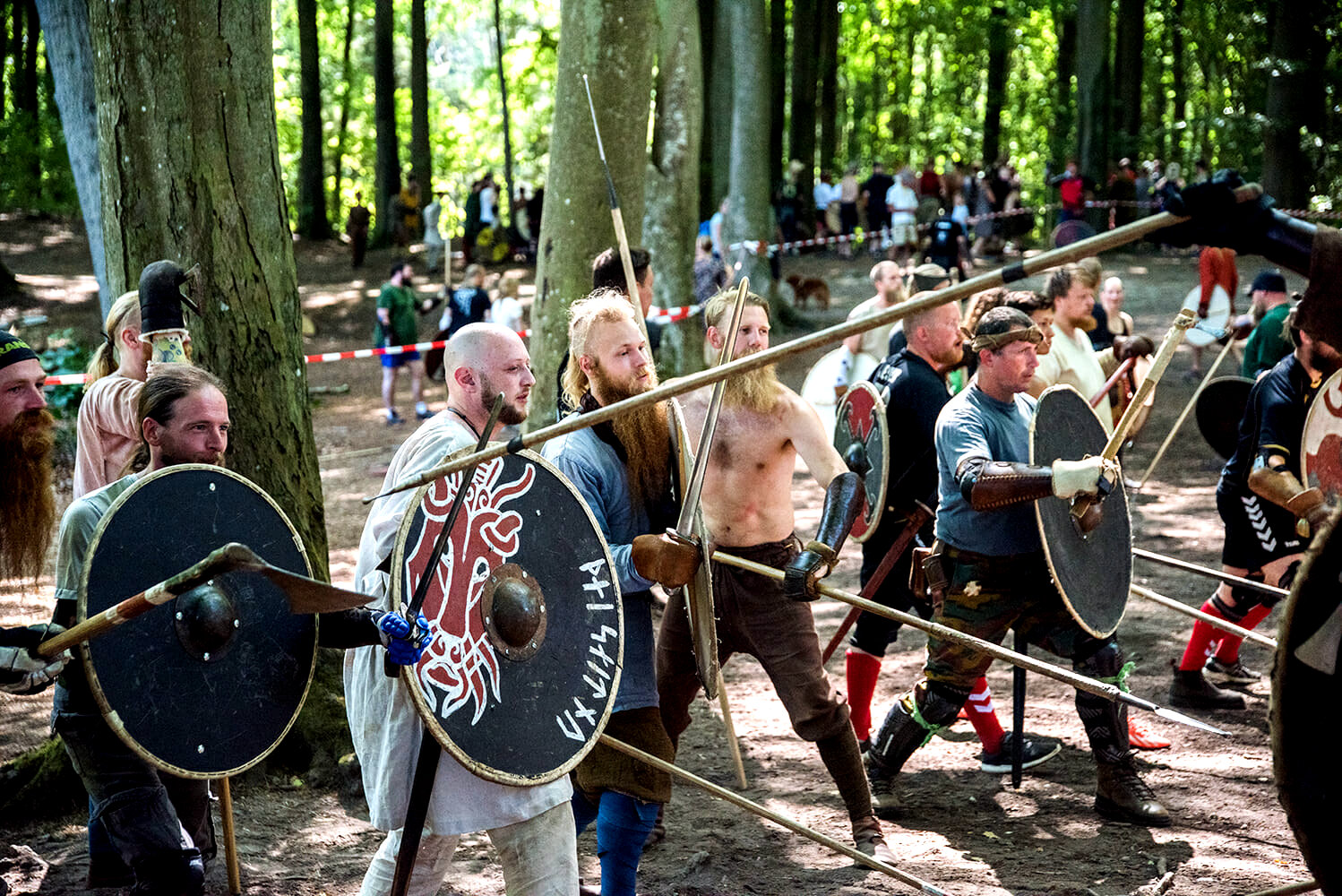 Moesgard Viking Moot
