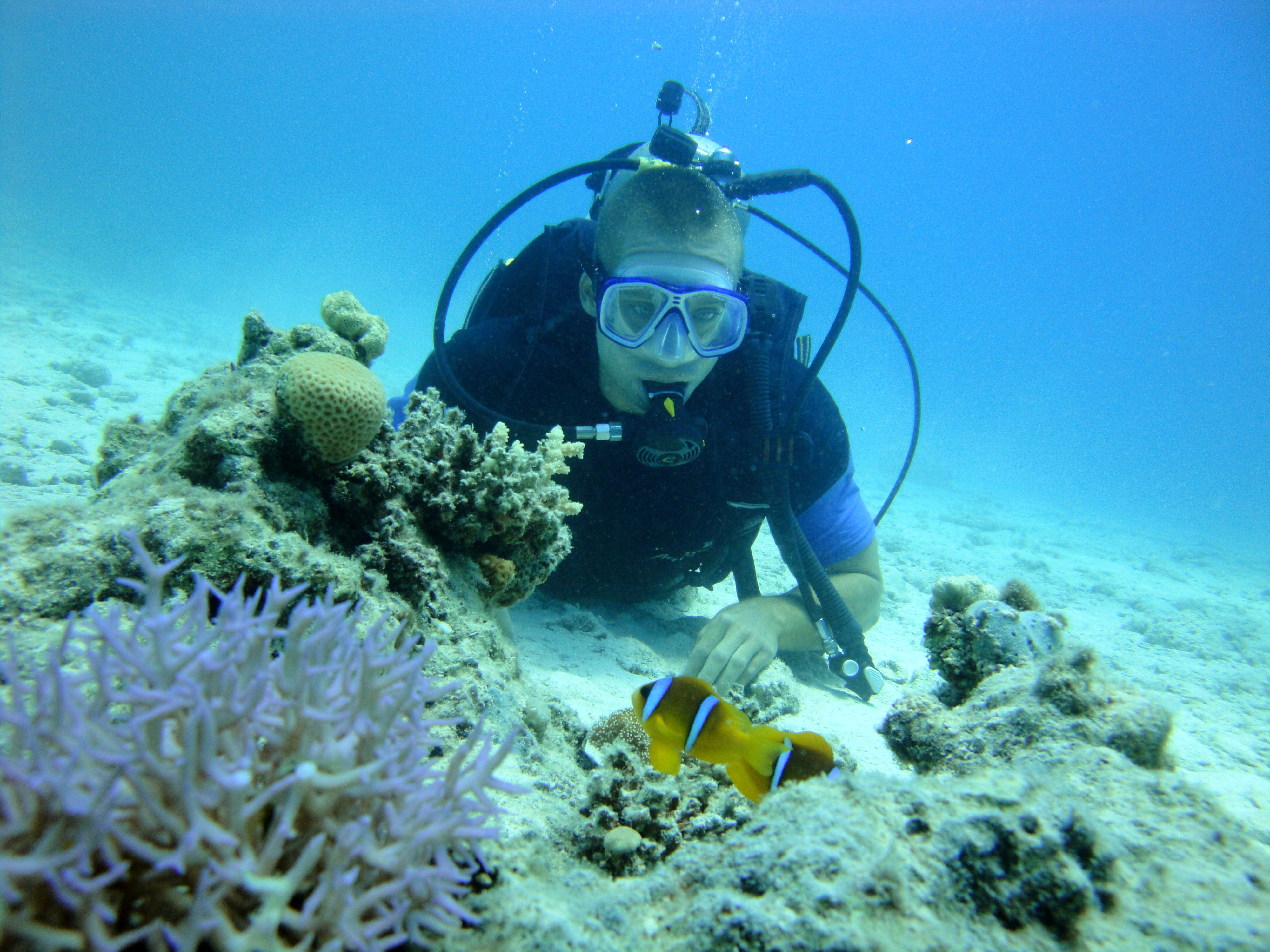 Обязательно погрузитесь с аквалангом, чтобы изучить подводную жизнь Красного моря