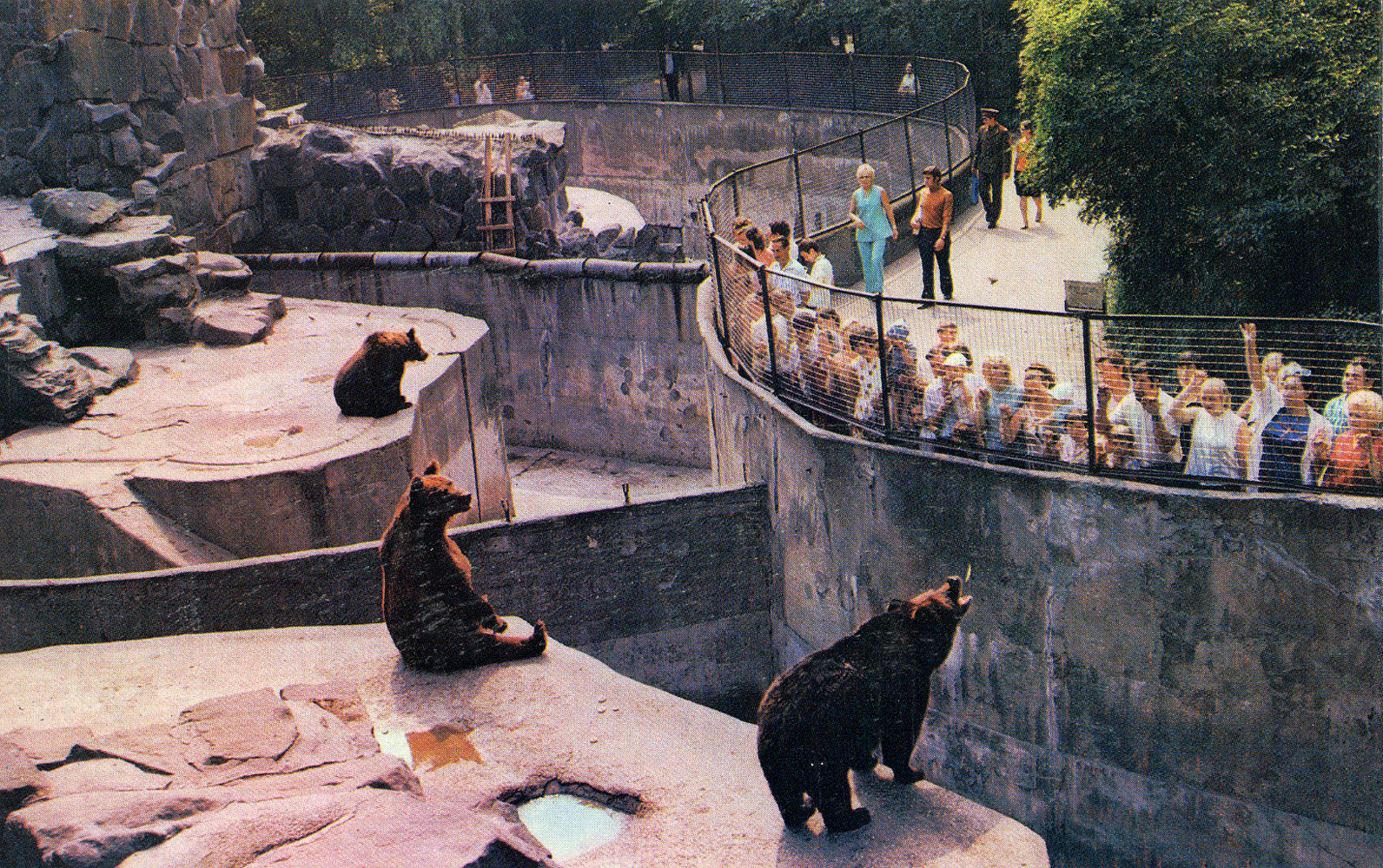 зоопарк калининград зимой