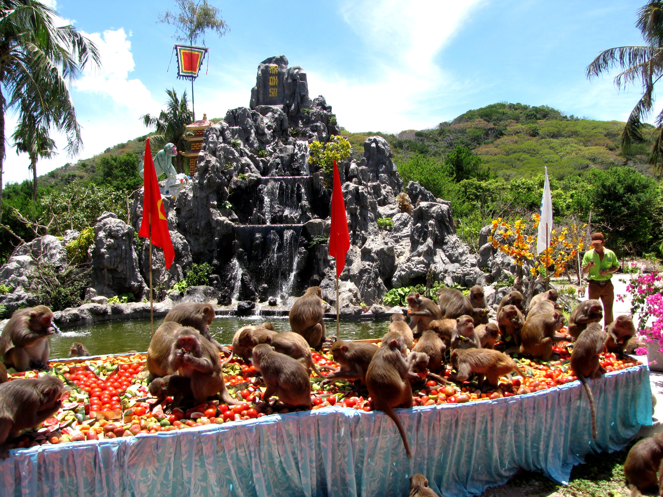 Остров обезьян hon Lao