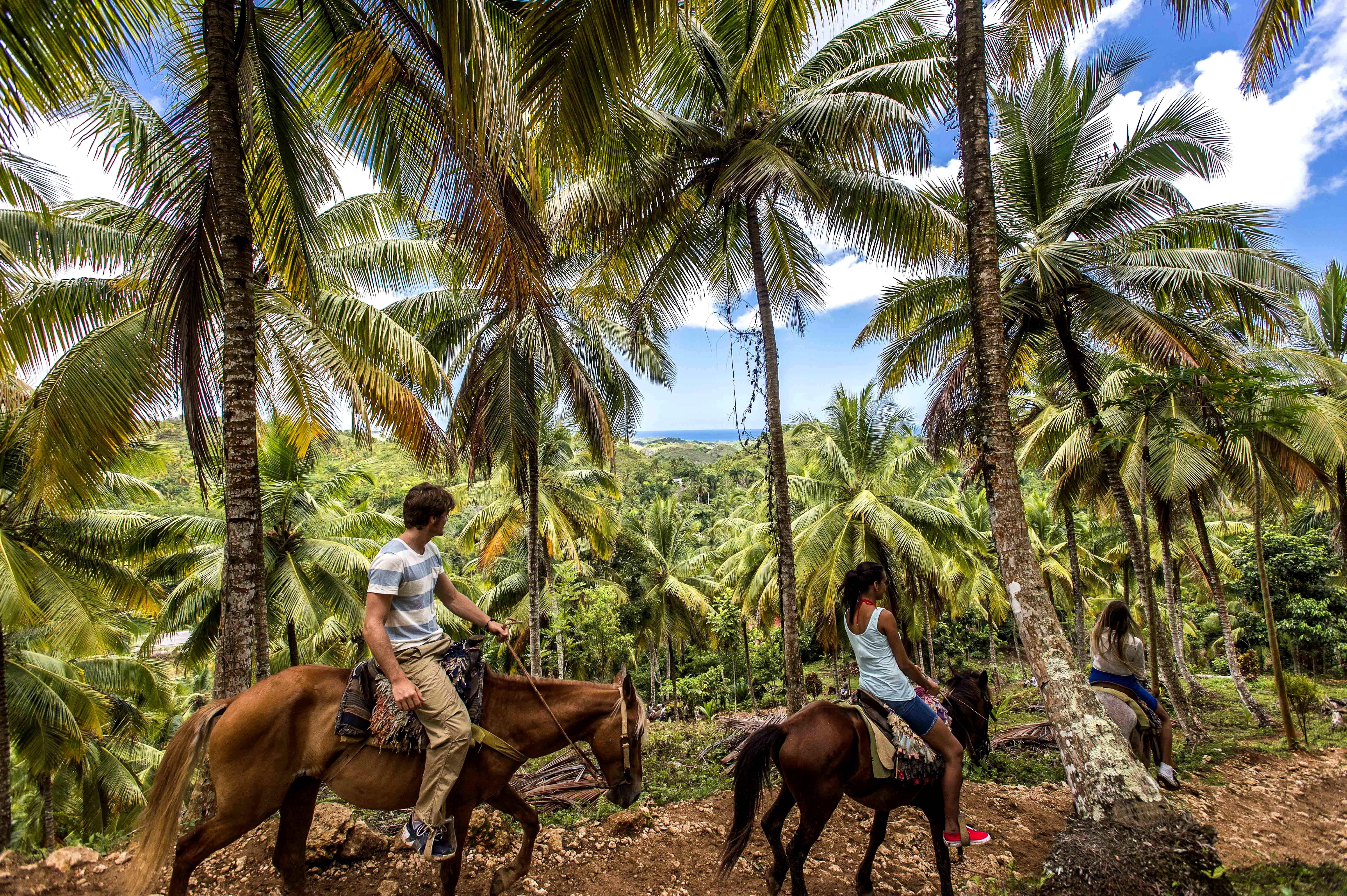 Прогулка на лошадях, один из популярных видов отдыха в Пунта-Кана