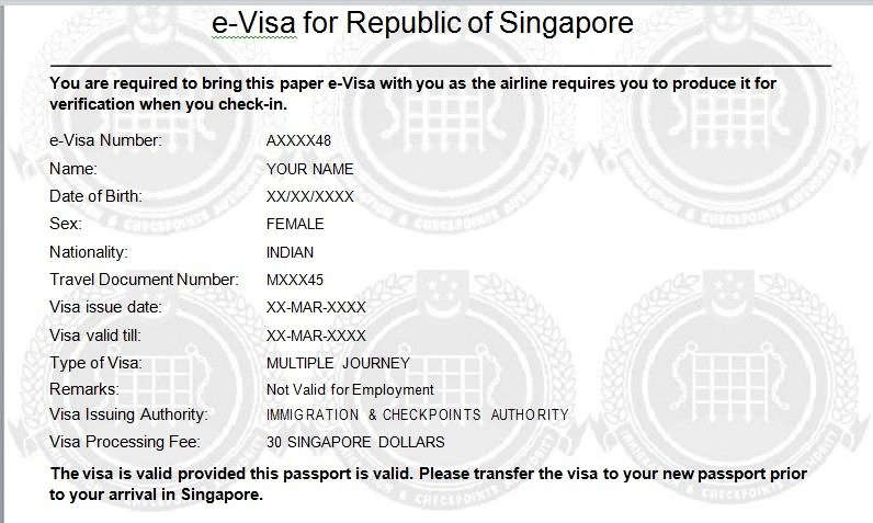 Так выглядит электронная виза в Сингапур