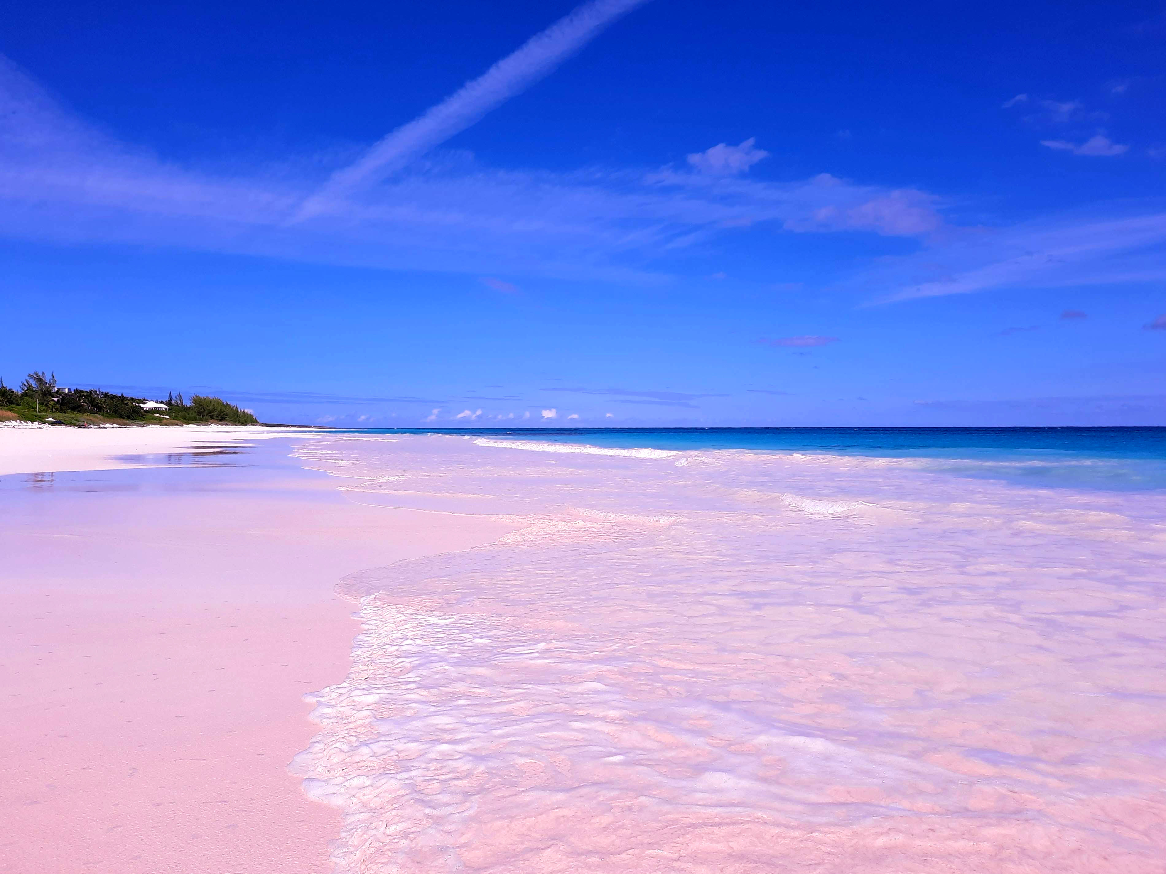Обязательно посетите пляж Pink Sands