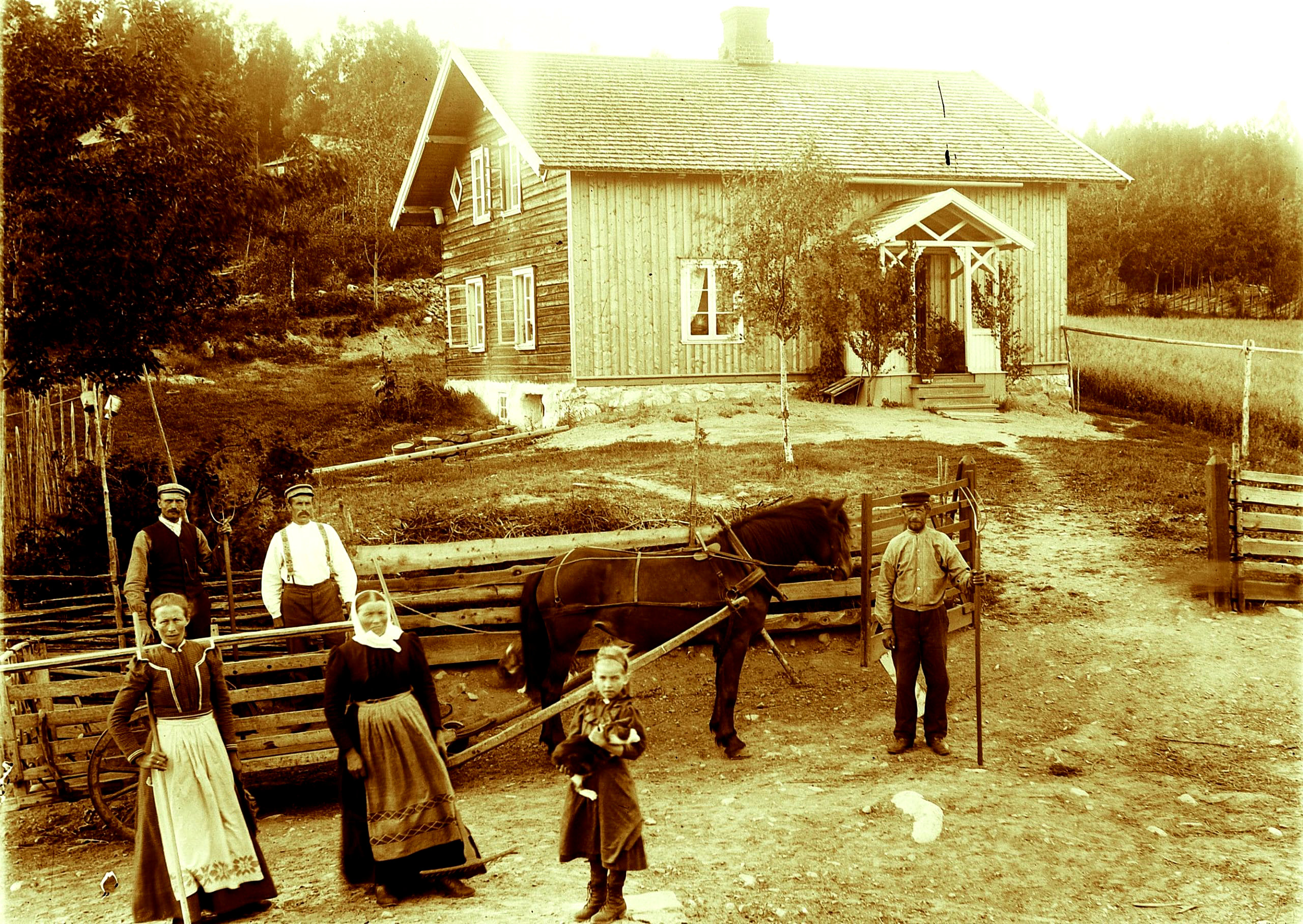 Сенокос. Рингсакер, Хедмарк.