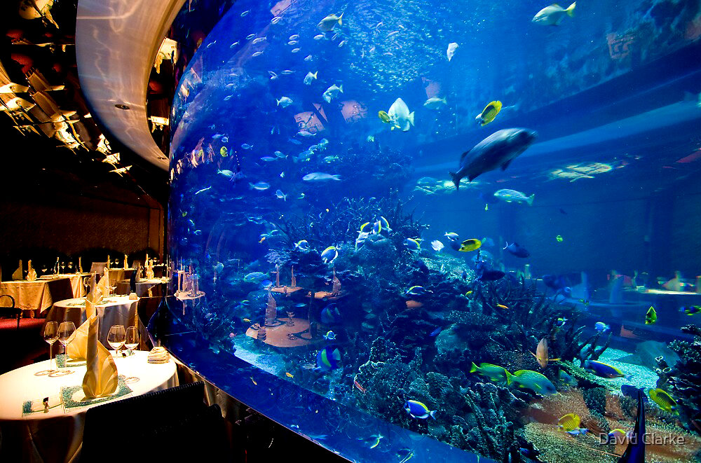 Подводные ресторан Аль-Махара в отеле Парус