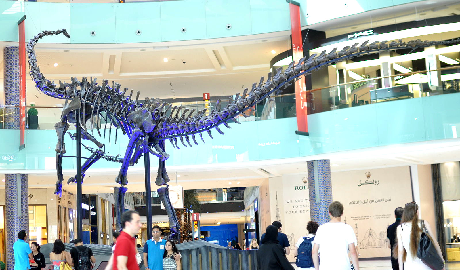 Скелет динозавра в Дубай Молл