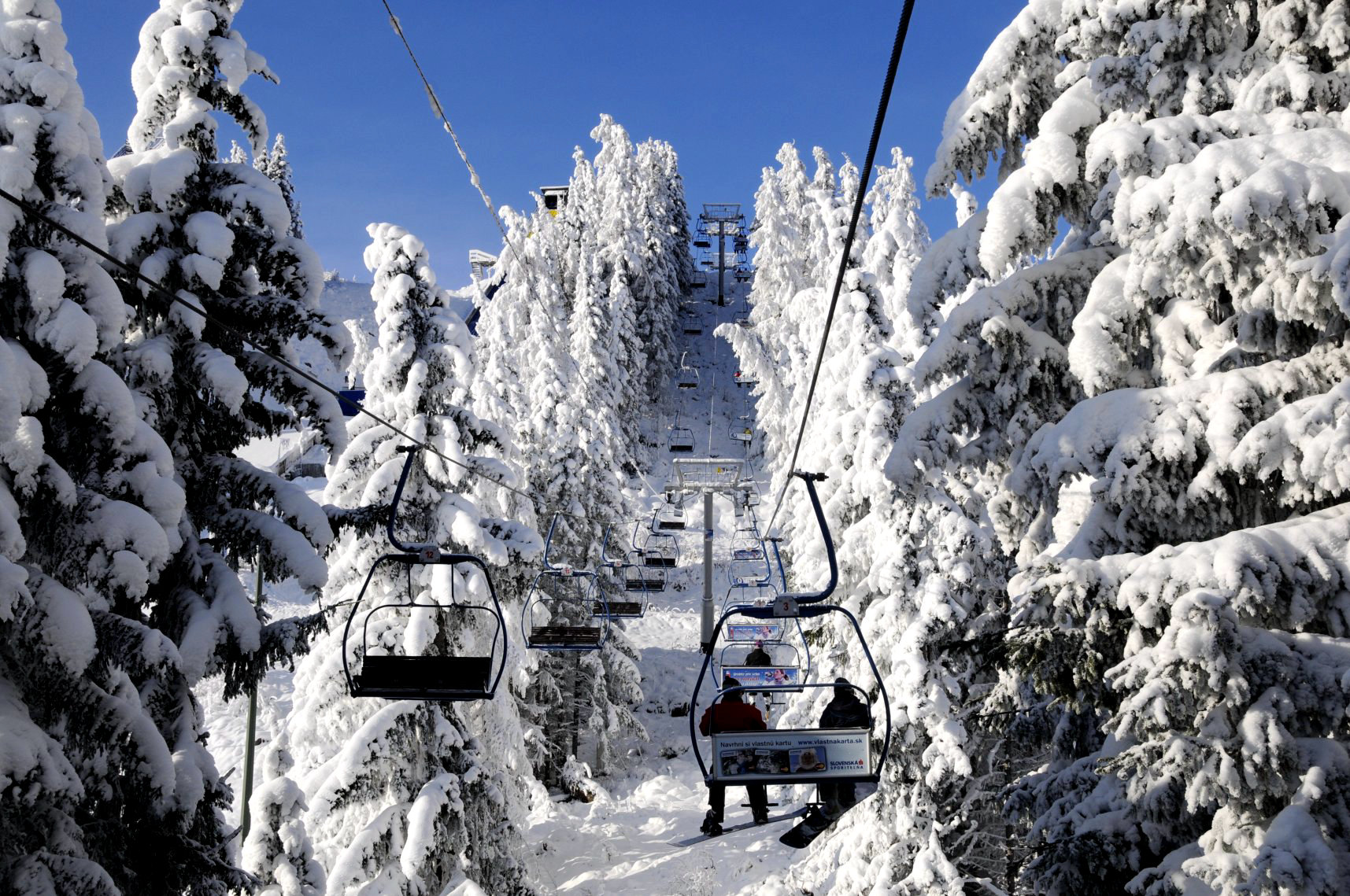 Для катания на лыжах и сноуборде доступны 8,3 км склонов, 0,7 км лыжных трасс и 7 подъемников