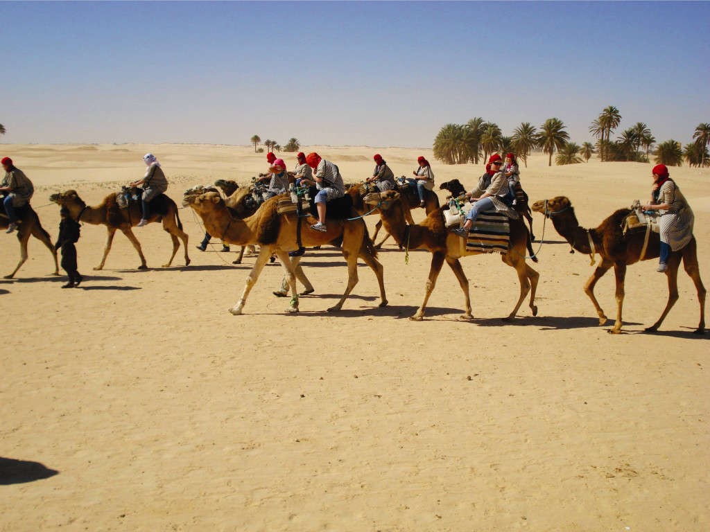 Туристическая экскурсия на верблюдах