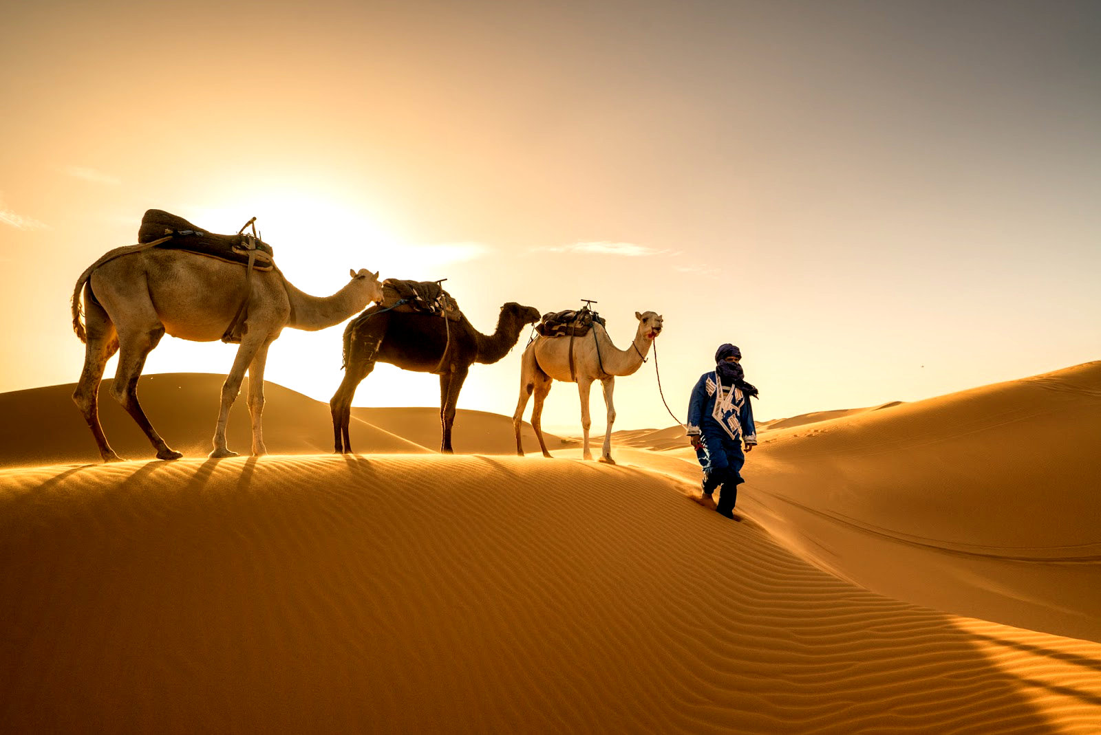 Караван картинка. Верблюды Караван. Верблюд в пустыне. Караван верблюдов. Караван в пустыне.