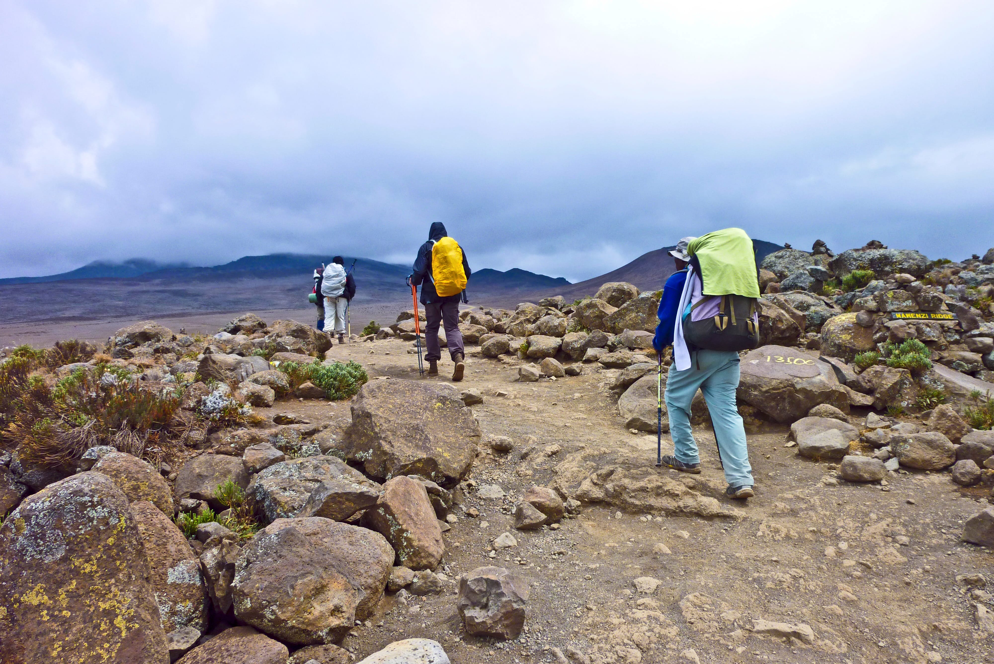 Для восхождения на Килиманджаро предлагаются различные туры, которые обычно занимают от 6 до 9 дней