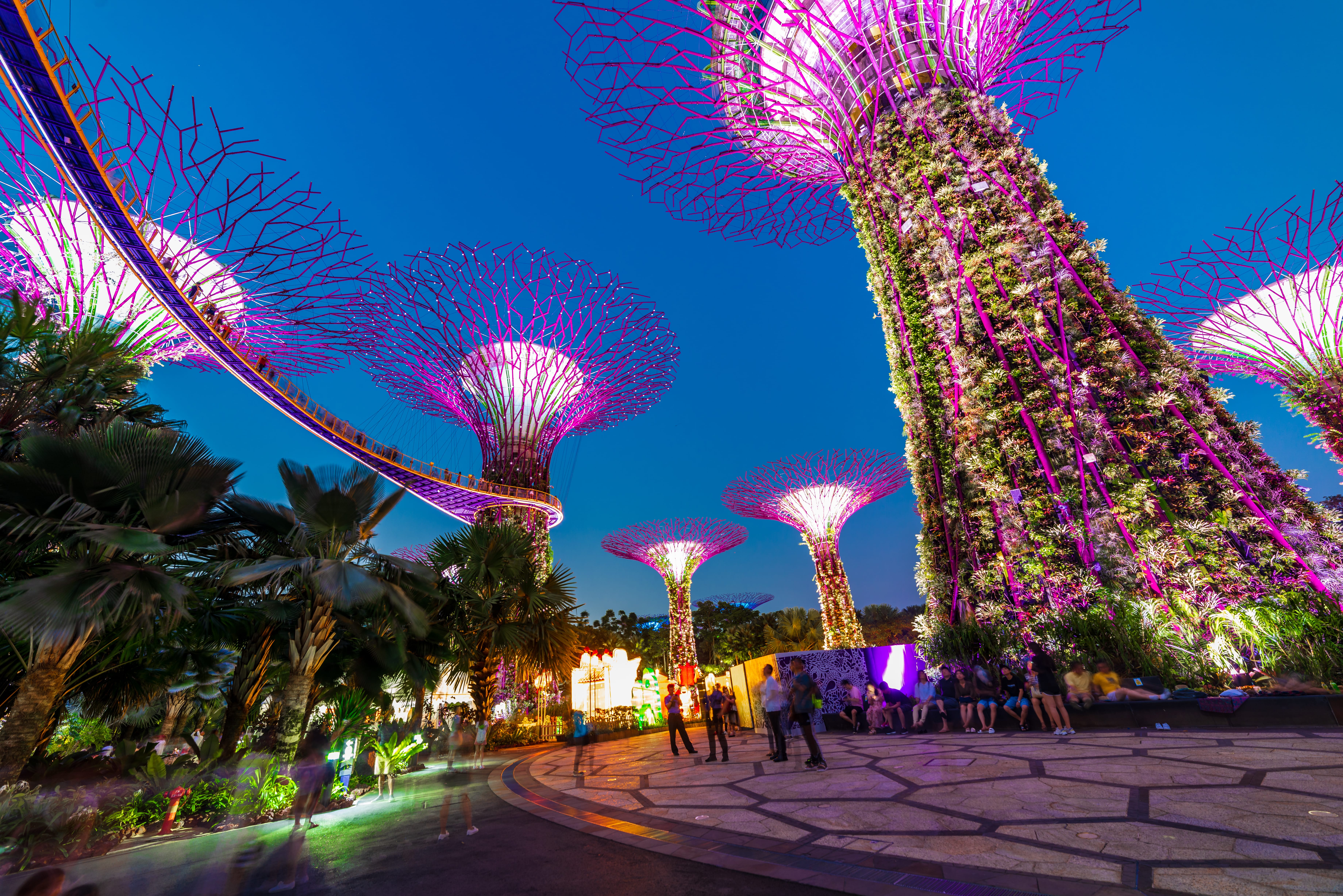 Футуристические сады у залива, Сингапур