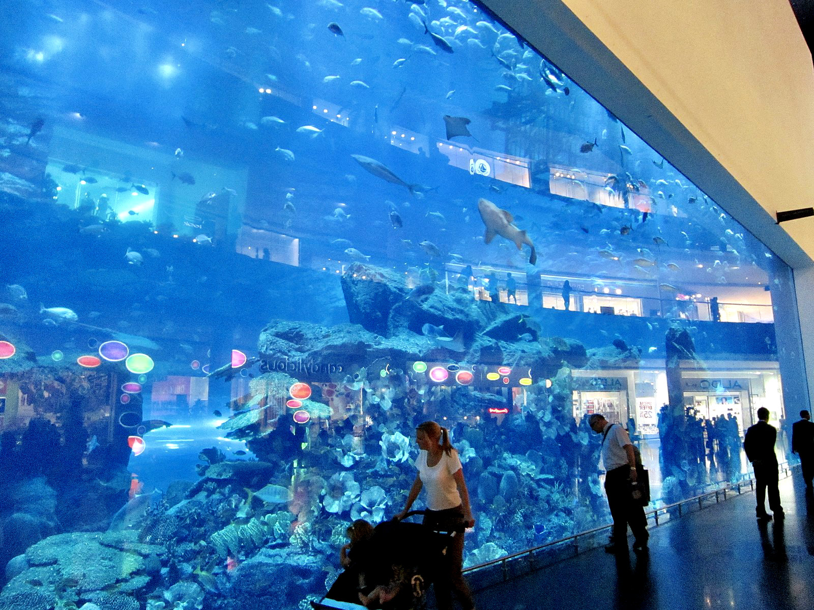 Аквариум и подводный зоопарк в Dubai Mall