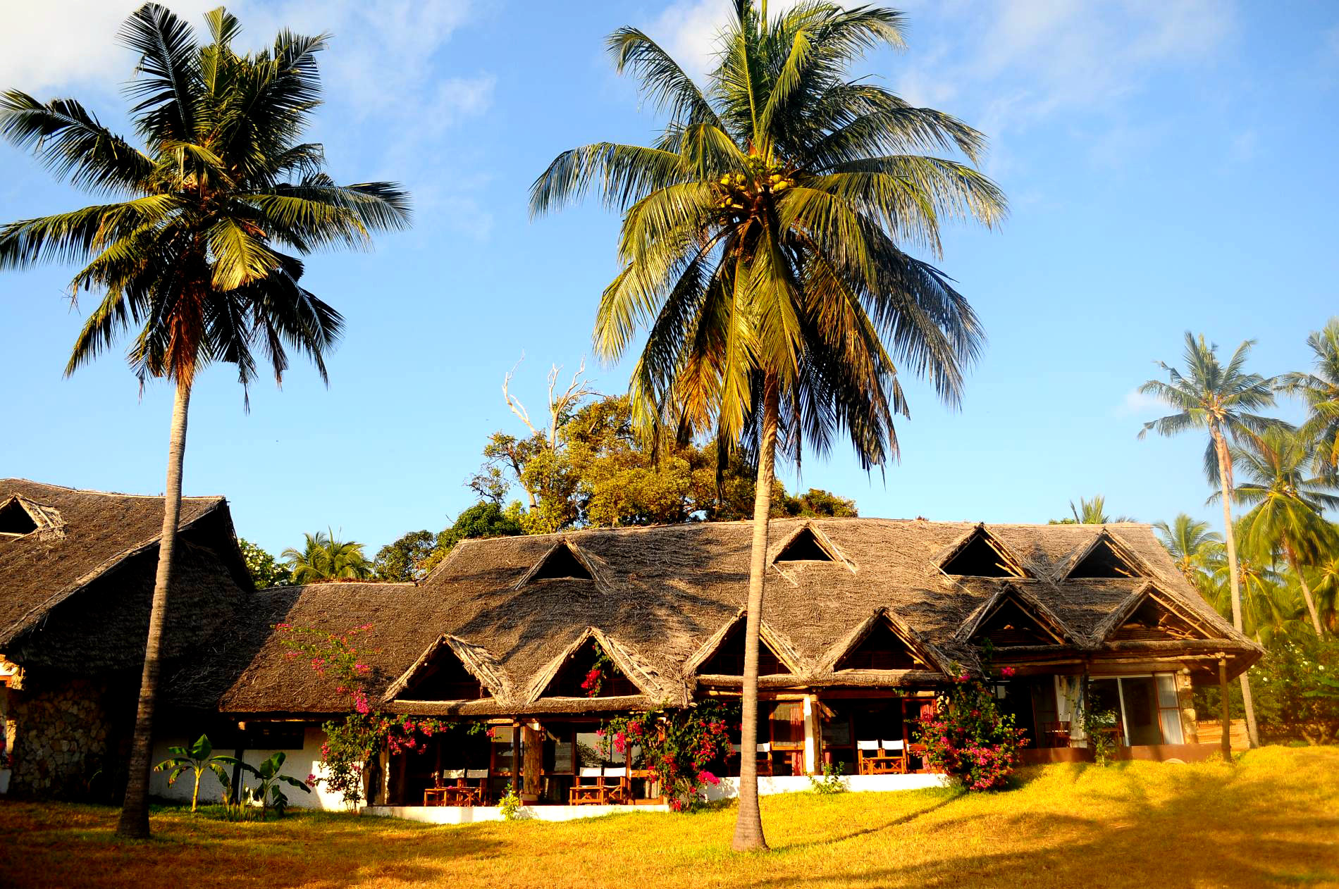 Отель Mafia Island Lodge