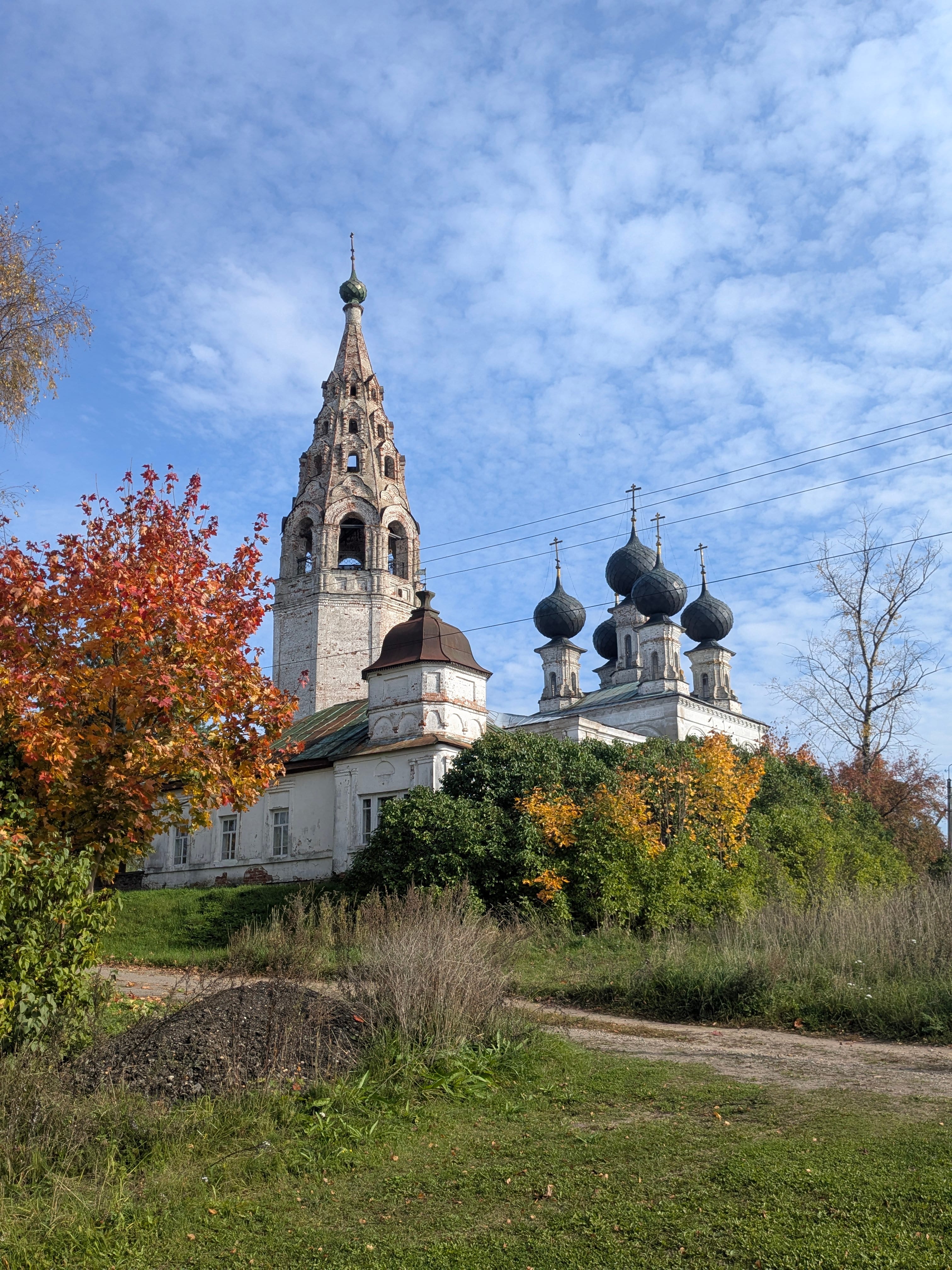 Тропа Сусанина, небо Саврасова, скакуны Скалозубова. Путешествие в Сусанино