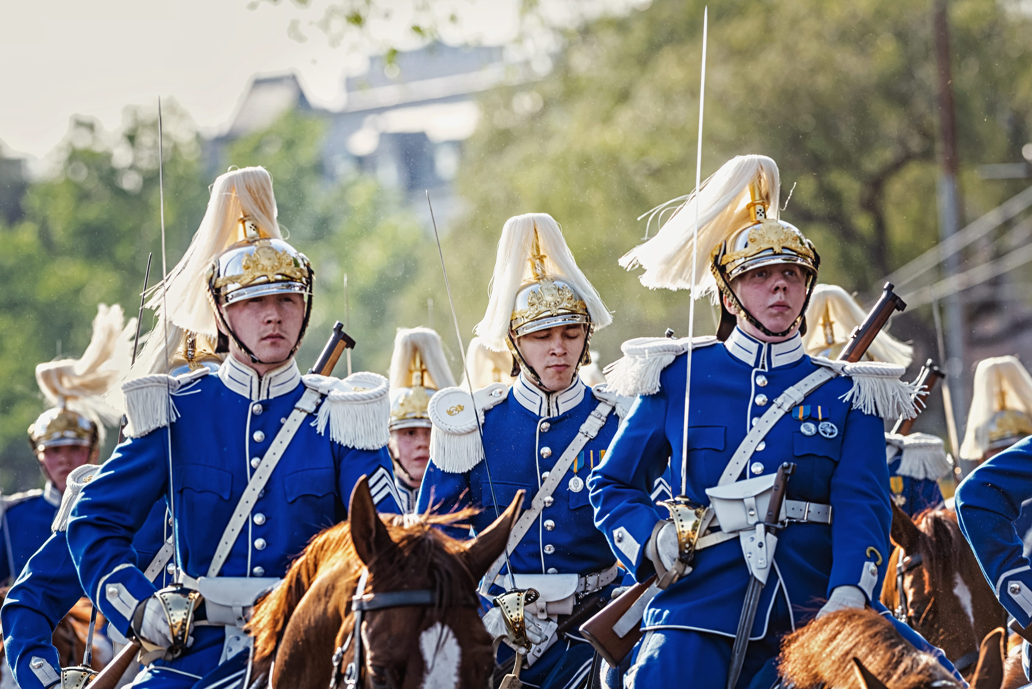 Шведская королевская гвардия на лошади
