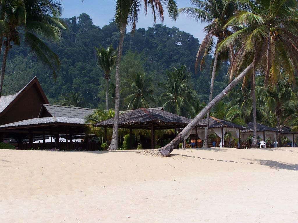 undefined
