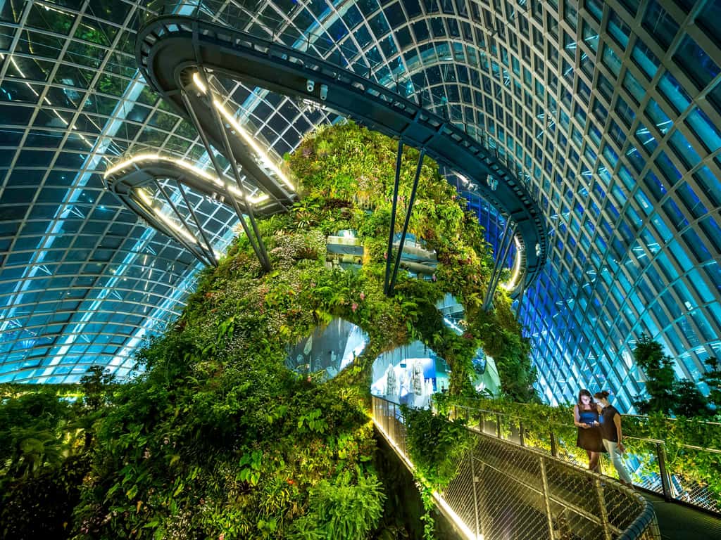 Оранжереи Клауд Форест (Cloud Forest Dome)