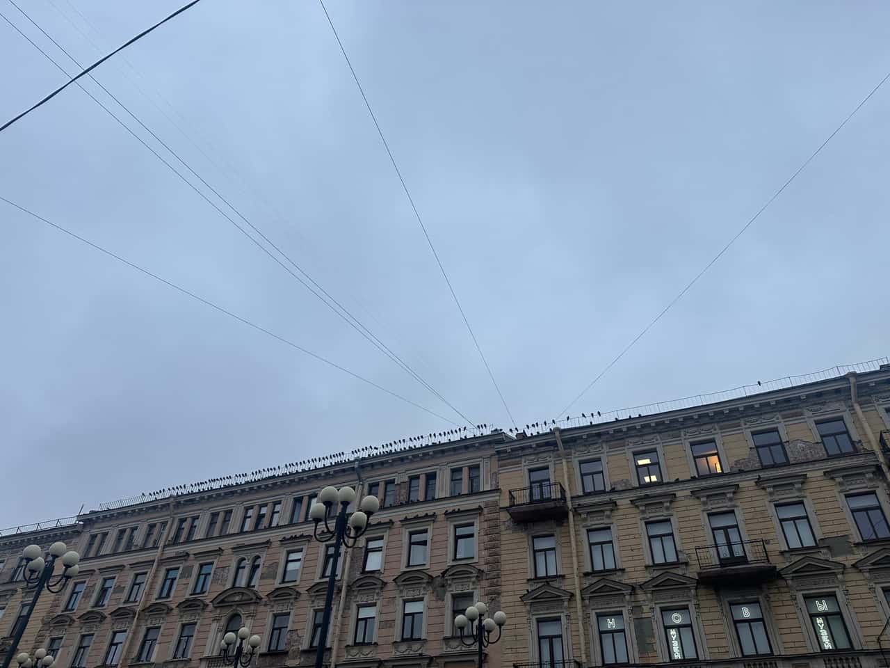 Недавно побывали на очень необычной экскурсии. Это вам не заученный стандарт, это разные ощущения, от страха