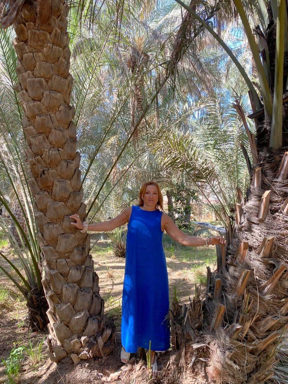 Пара часов в пути и мы в самом зеленом и живописном городе Аль- Айн Объединенных Арабских