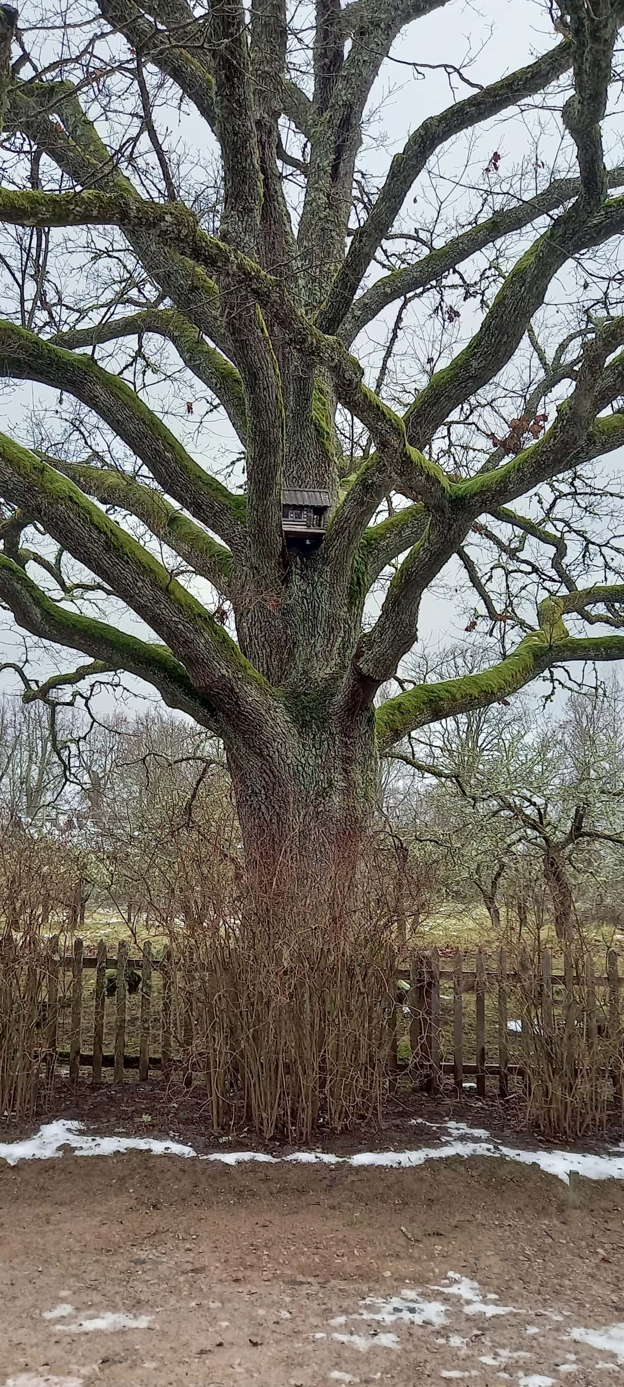 Большое спасибо за прекрасно организованную экскурсию! Ехали на новом большом комфортабельном автобусе, экскурсию проводила гид Мария.