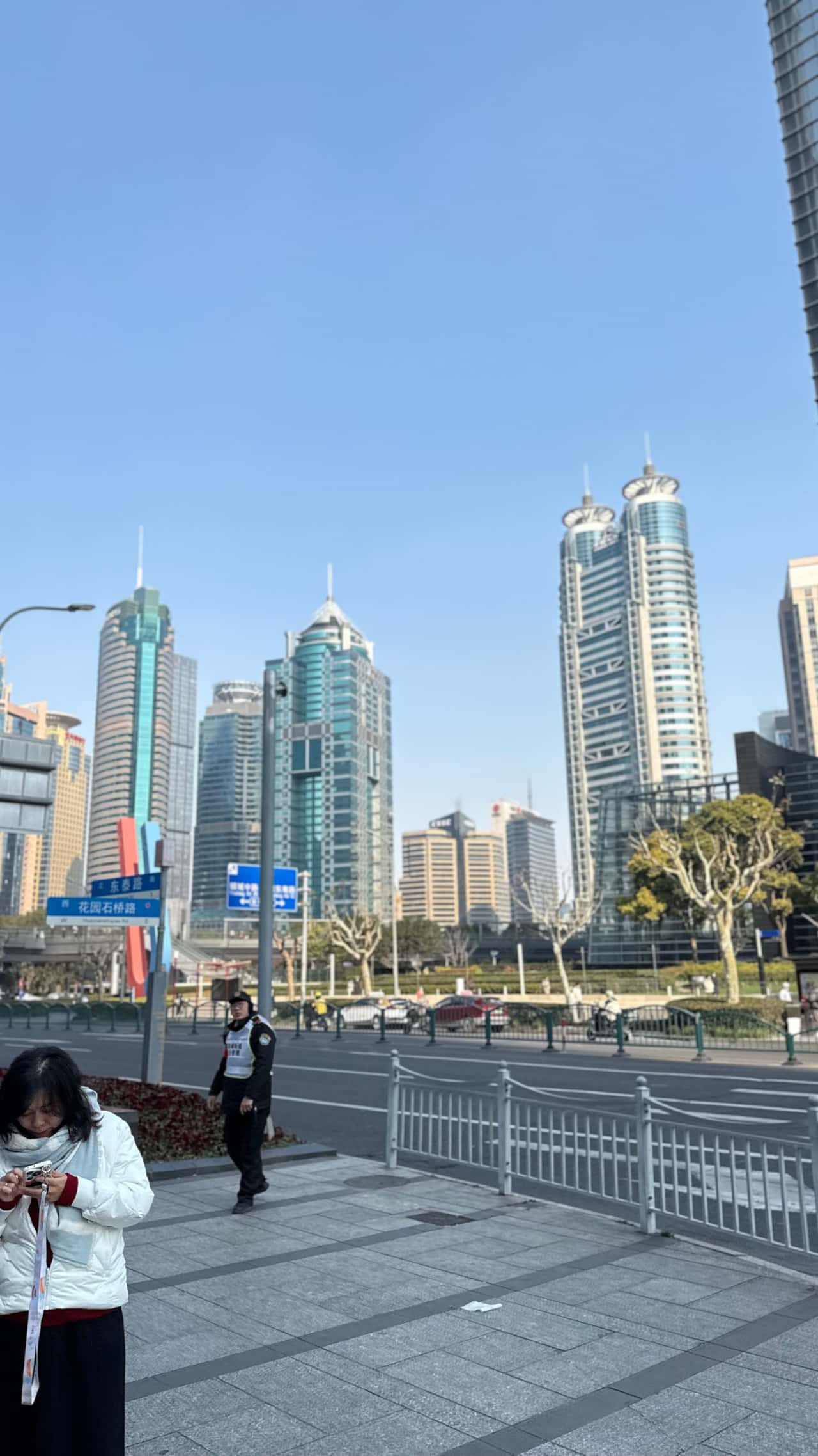 Отличная экскурсия! очень интересно :старый город, сад счастья ,новый город , финансовый центр , набережная ,французский