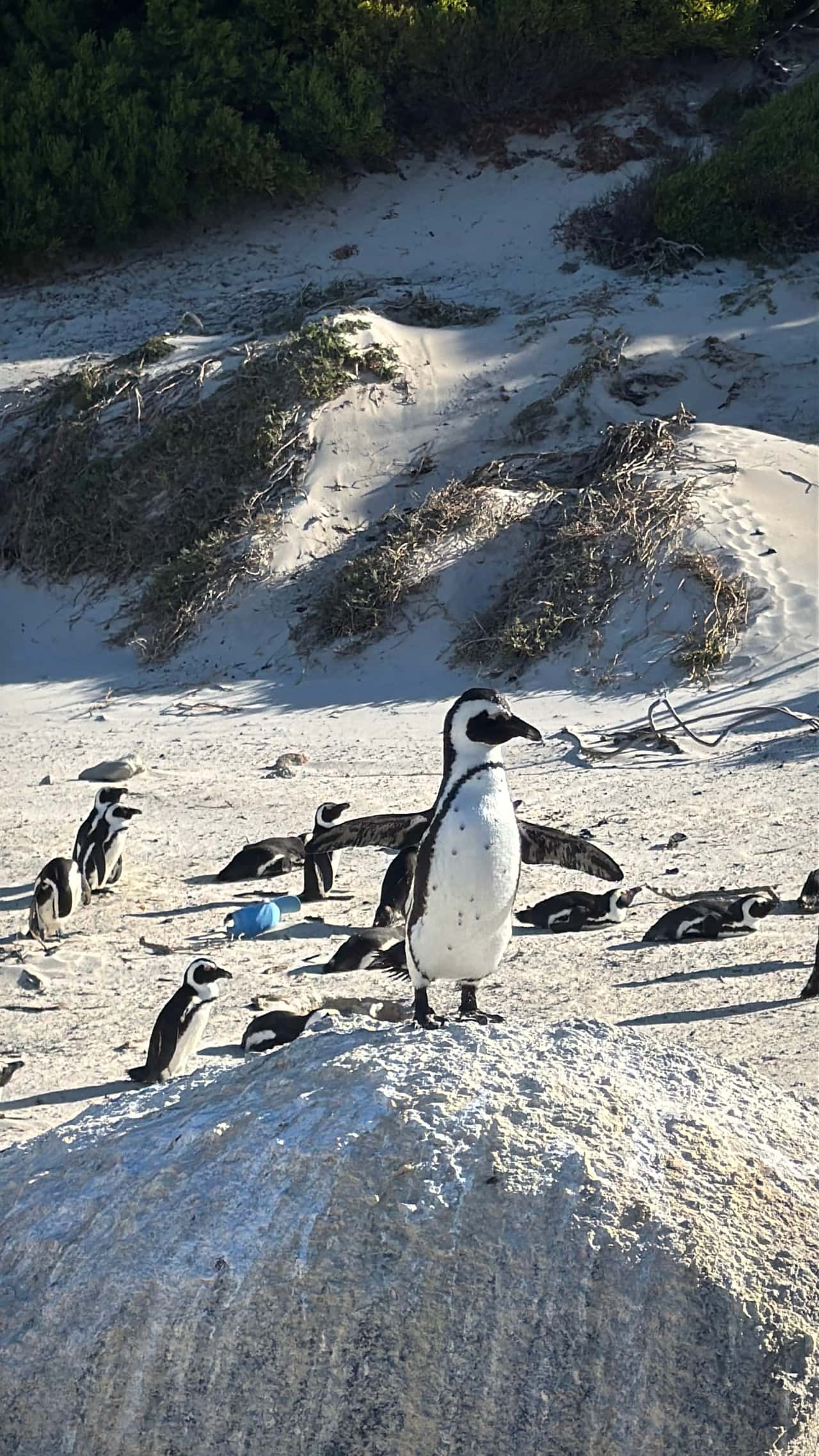 Все отлично. Увидели все и даже больше, чем ожидали. Рекомендую тур с Виктором!