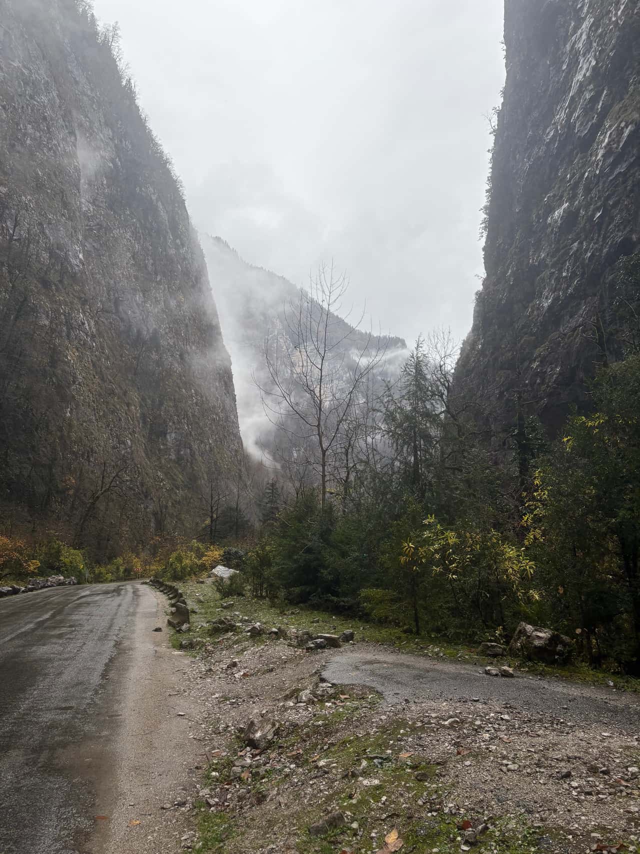 Только приехали с экскурсии по Рицце с гидом ,которого зовут Инал…Хочу поблагодарить его за душевное путешествие…сколько