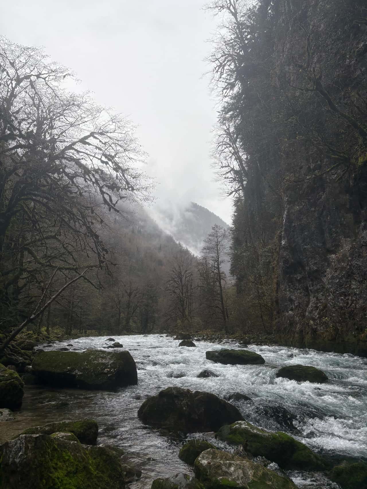 Только приехали с экскурсии по Рицце с гидом ,которого зовут Инал…Хочу поблагодарить его за душевное путешествие…сколько