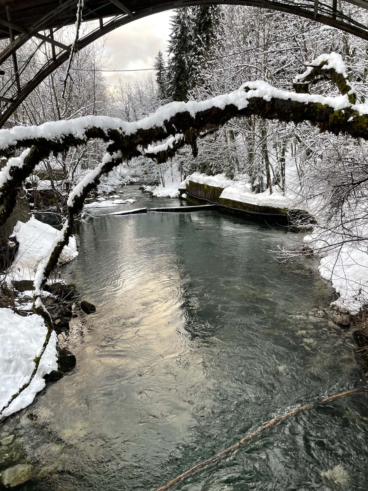 Всё прошло отлично, Даниэль, замечательный человек, очень интересно рассказывает, как говориться от и до , от
