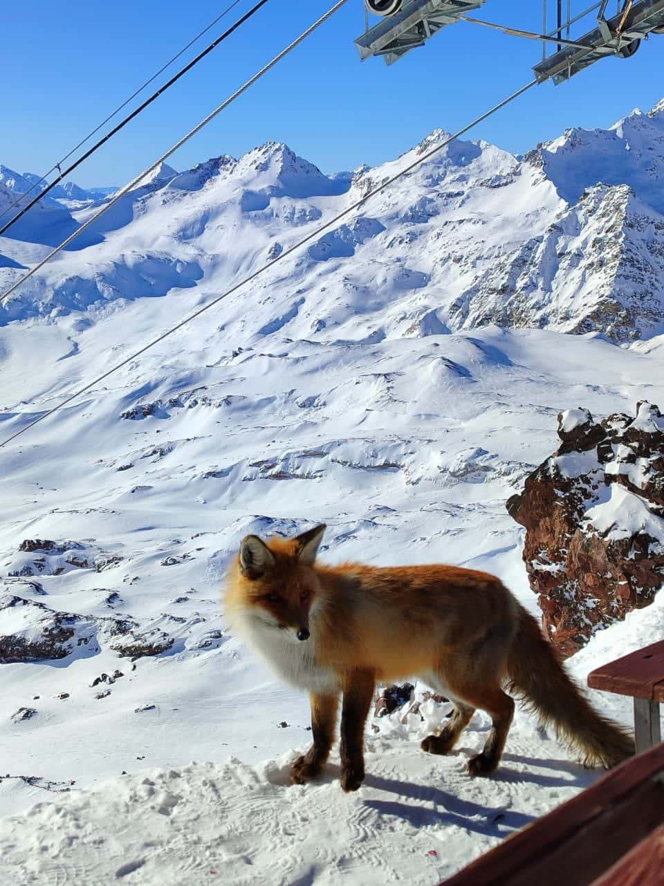 Поездка понравилась. Всё прошло организованно, спокойно. Александр замечательный водитель и гид. Не смотря на то, что