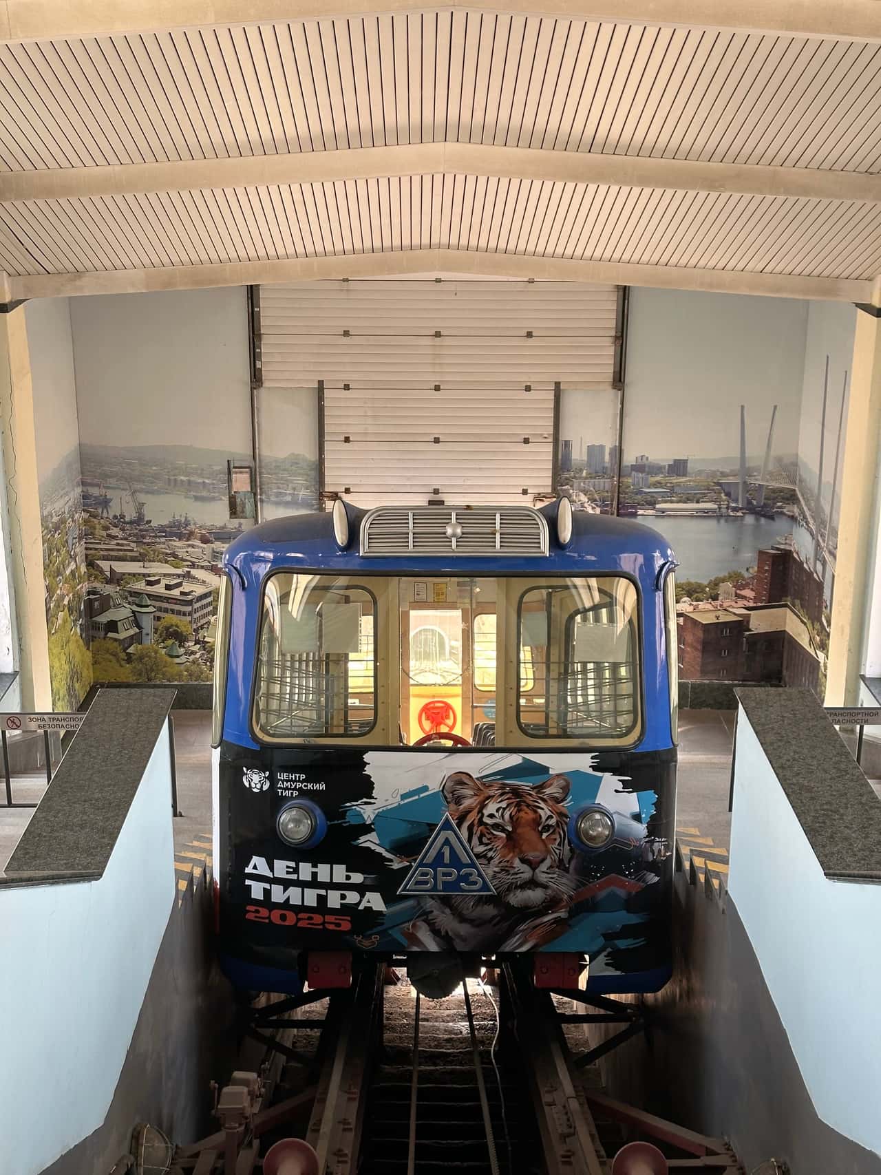 Добрый вечер!