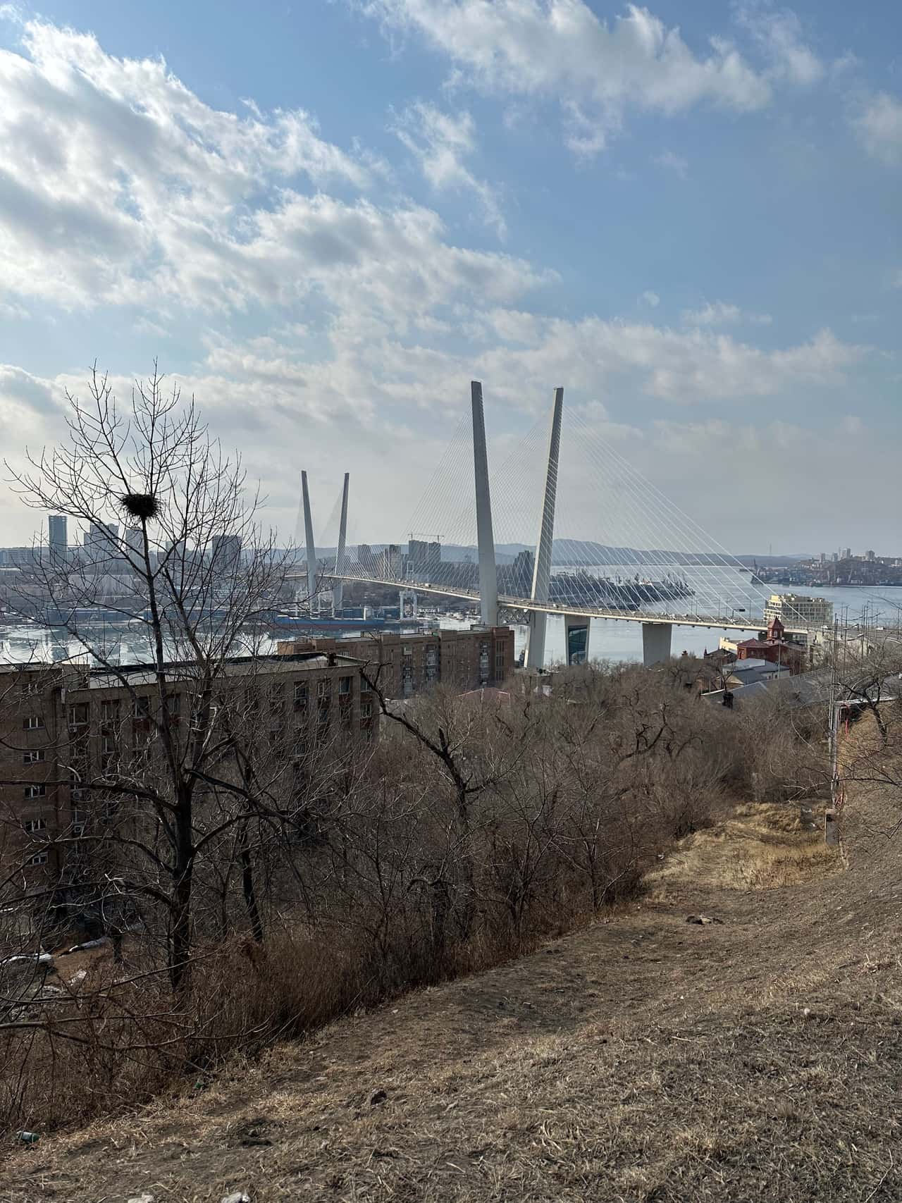 Добрый вечер!