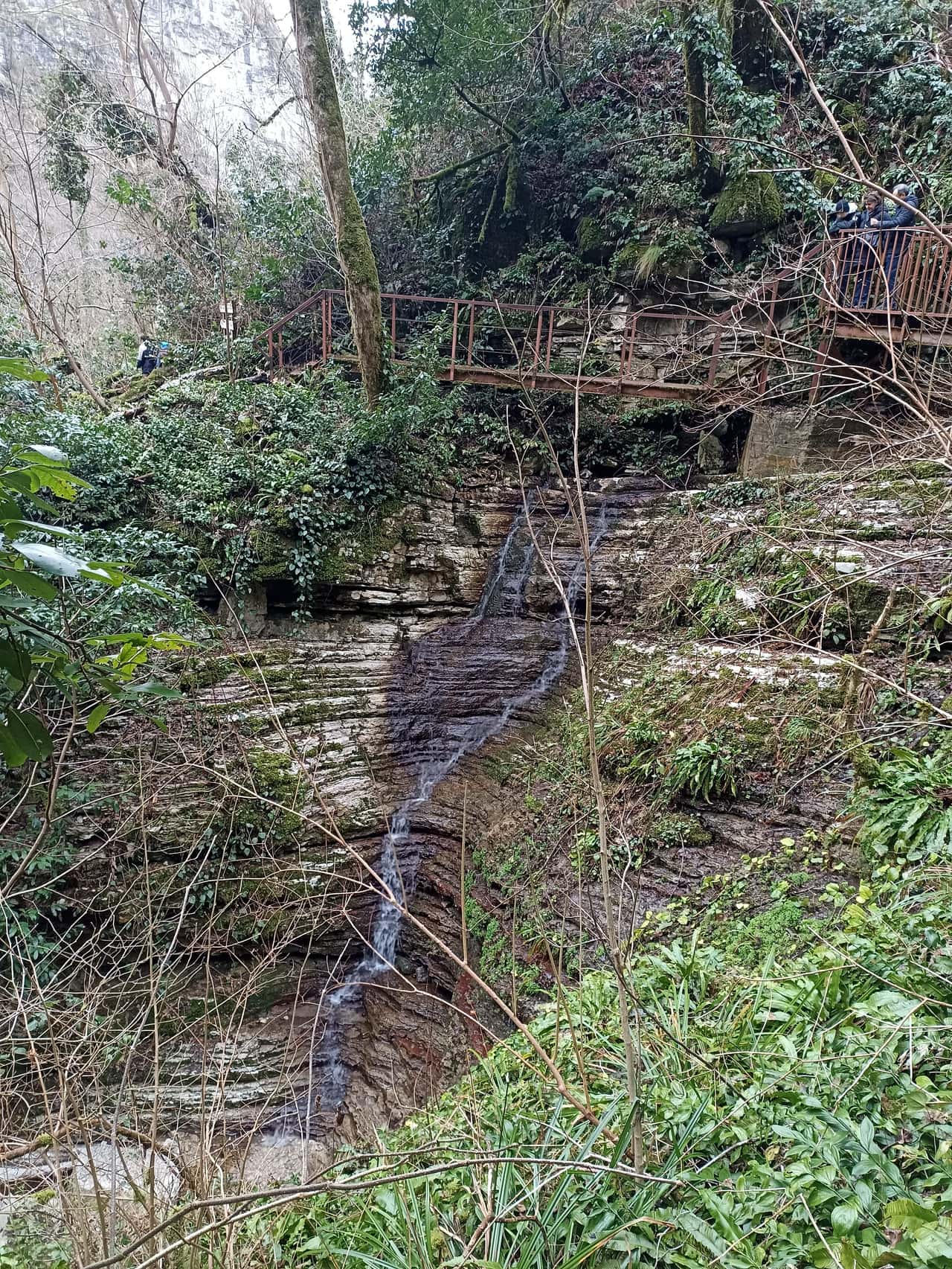 Изначально мы планировали эту экскурсию, но по погодным условиям ее заменили на посещение Тисо-Самшитовой рощи. И