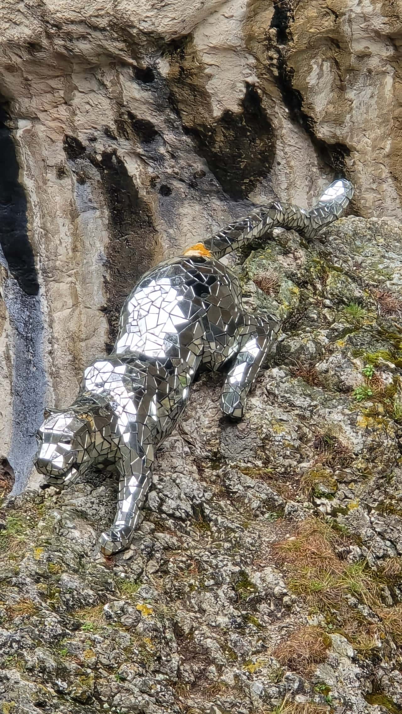 Отличный день и супер гид! Это несмотря на то, что погода нас очень подвела. Снег в