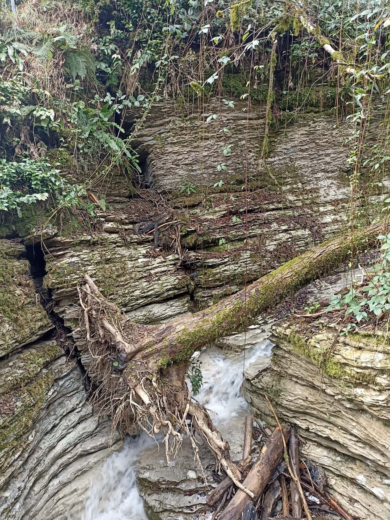 Изначально мы планировали эту экскурсию, но по погодным условиям ее заменили на посещение Тисо-Самшитовой рощи. И