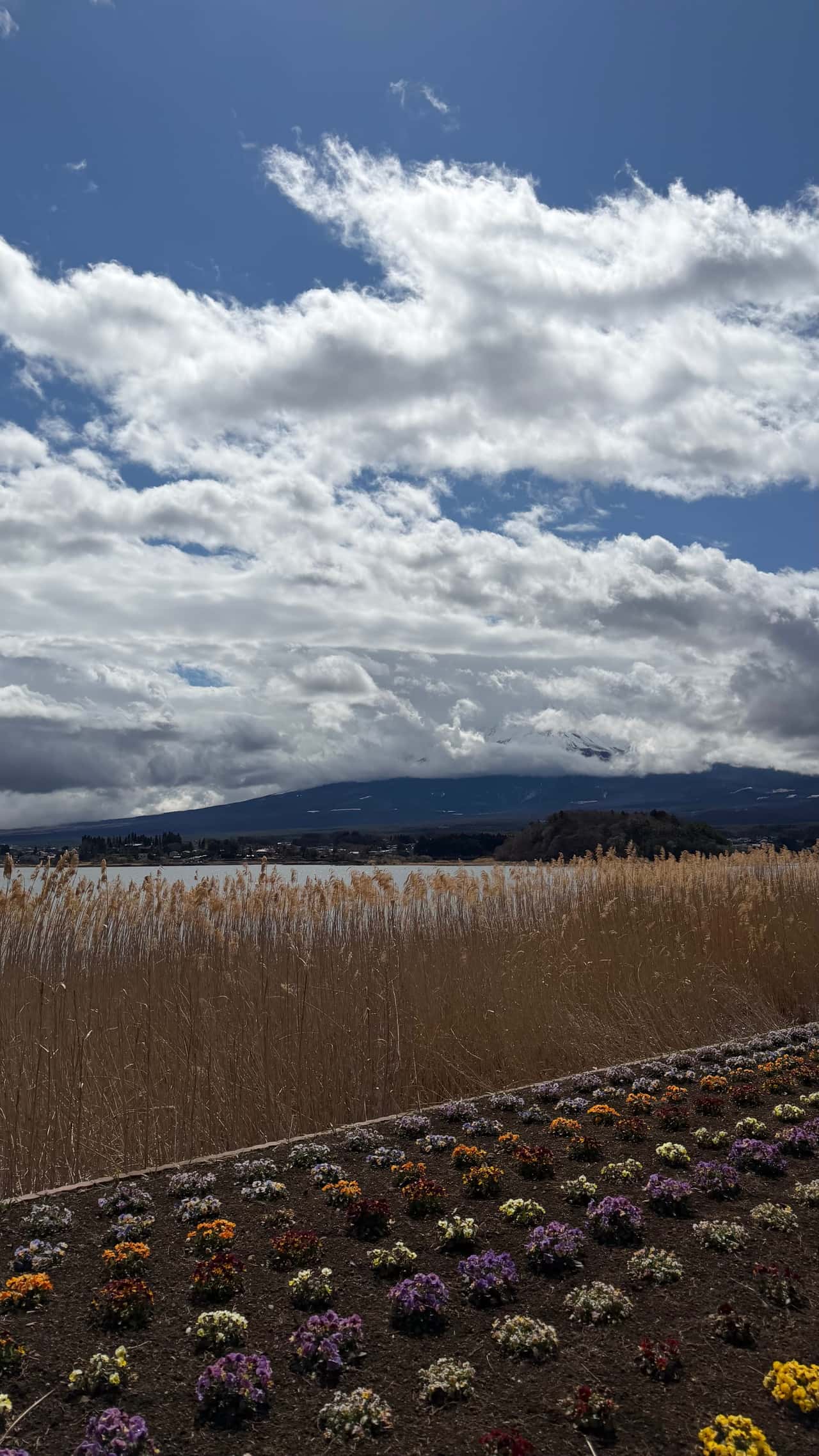 Всем привет! Спешу поделиться нашим отзывом на экскурсию с Татьяной вокруг Фудзи. Приезжали в Японию семьей