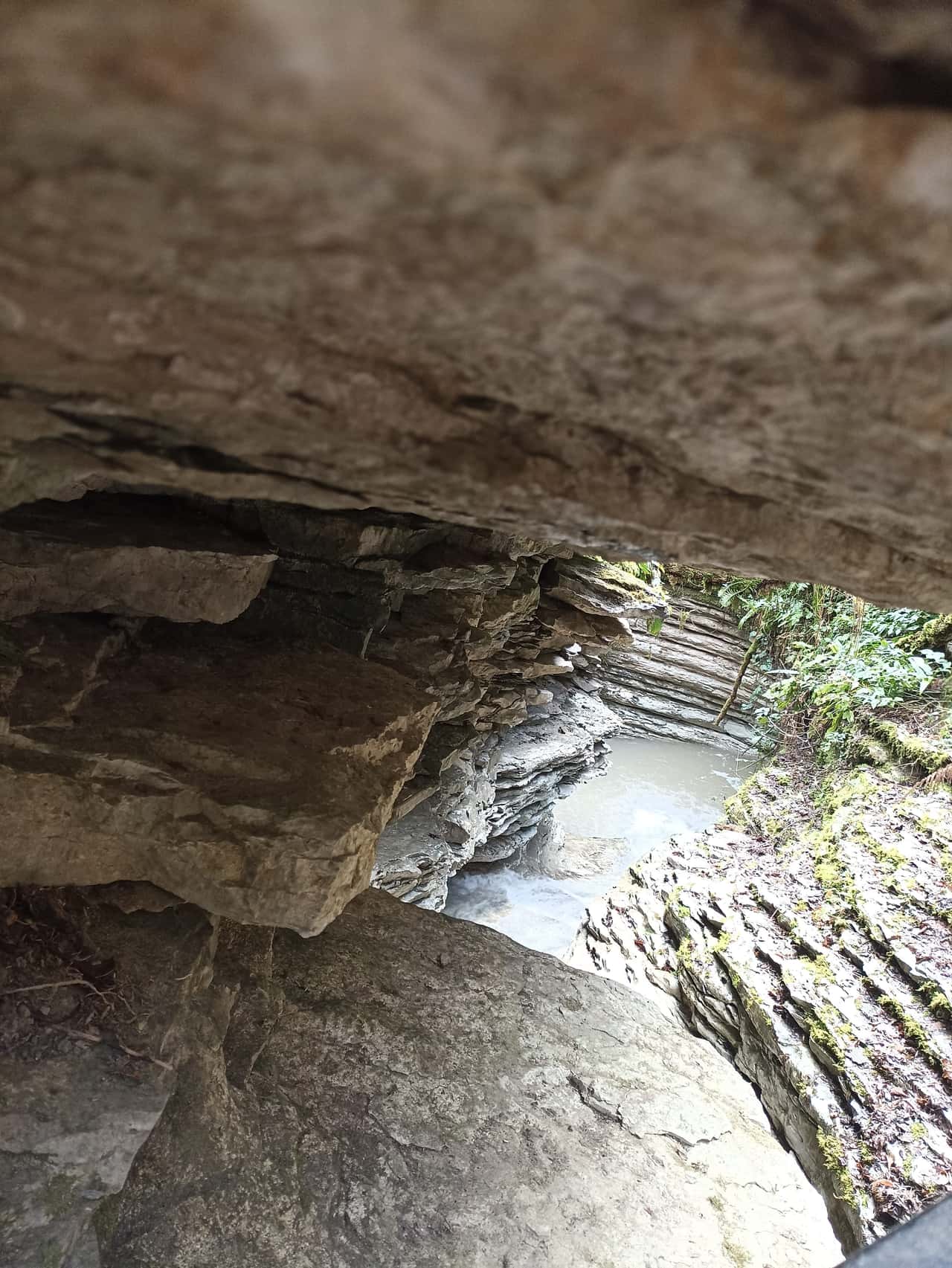 Изначально мы планировали эту экскурсию, но по погодным условиям ее заменили на посещение Тисо-Самшитовой рощи. И
