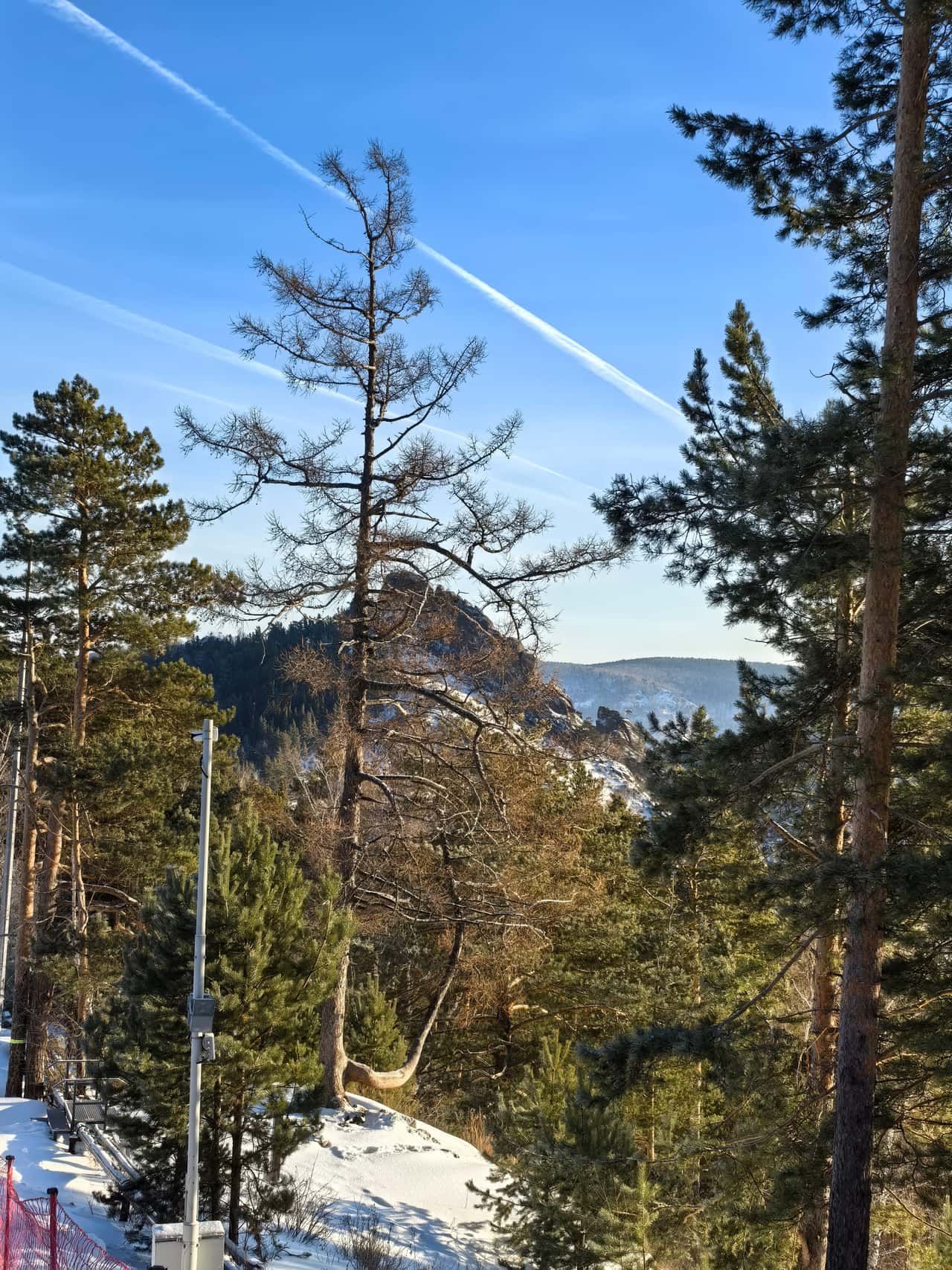 Хочу выразить огромную благодарность гиду Александре за незабываемое путешествие по заповеднику «Столбы»!