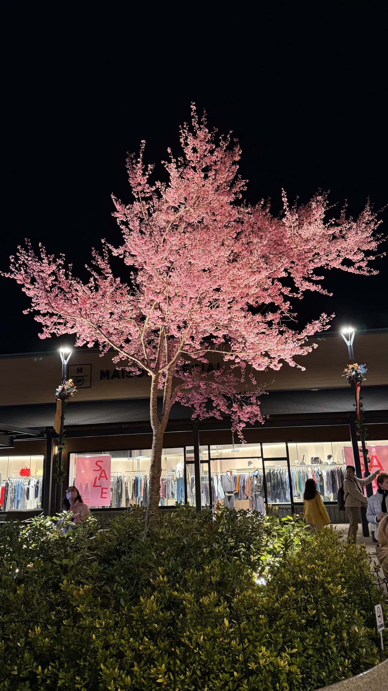 Всем привет! Спешу поделиться нашим отзывом на экскурсию с Татьяной вокруг Фудзи. Приезжали в Японию семьей