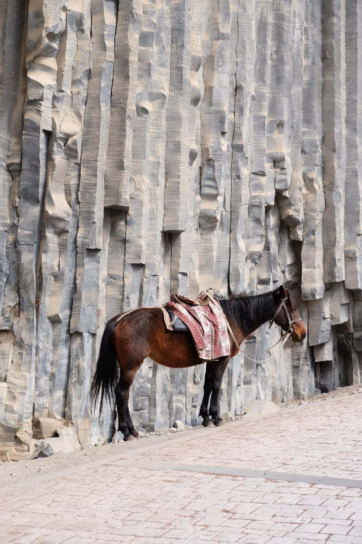 Все прошло отлично. Гид и Гурген приехали вовремя. Было много интересной информации про историю Армении и места, которые мы посетили.