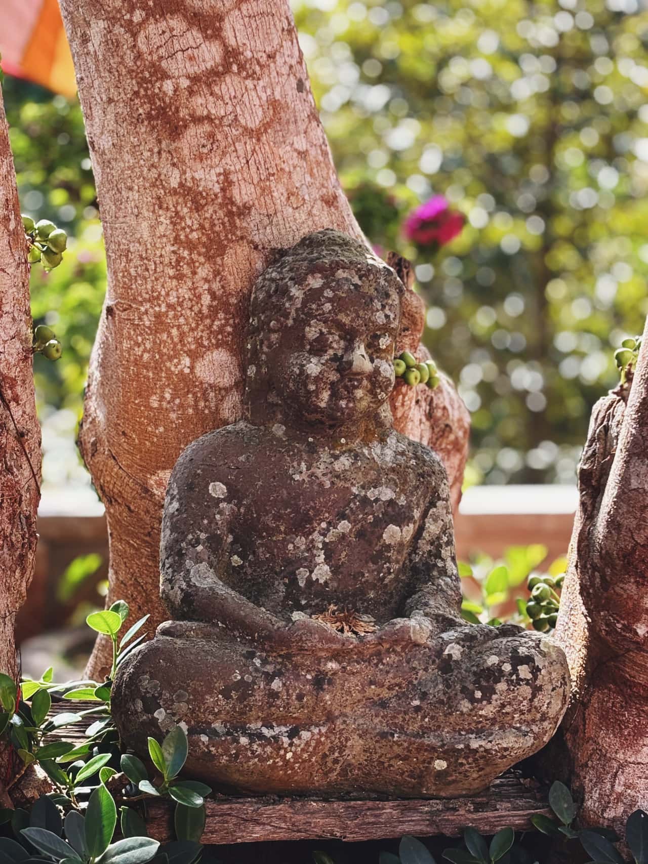 Очень понравилась экскурсия. Безумно красивая природа и локация. Элла очень интересно рассказывает, прям погружает в культуру.