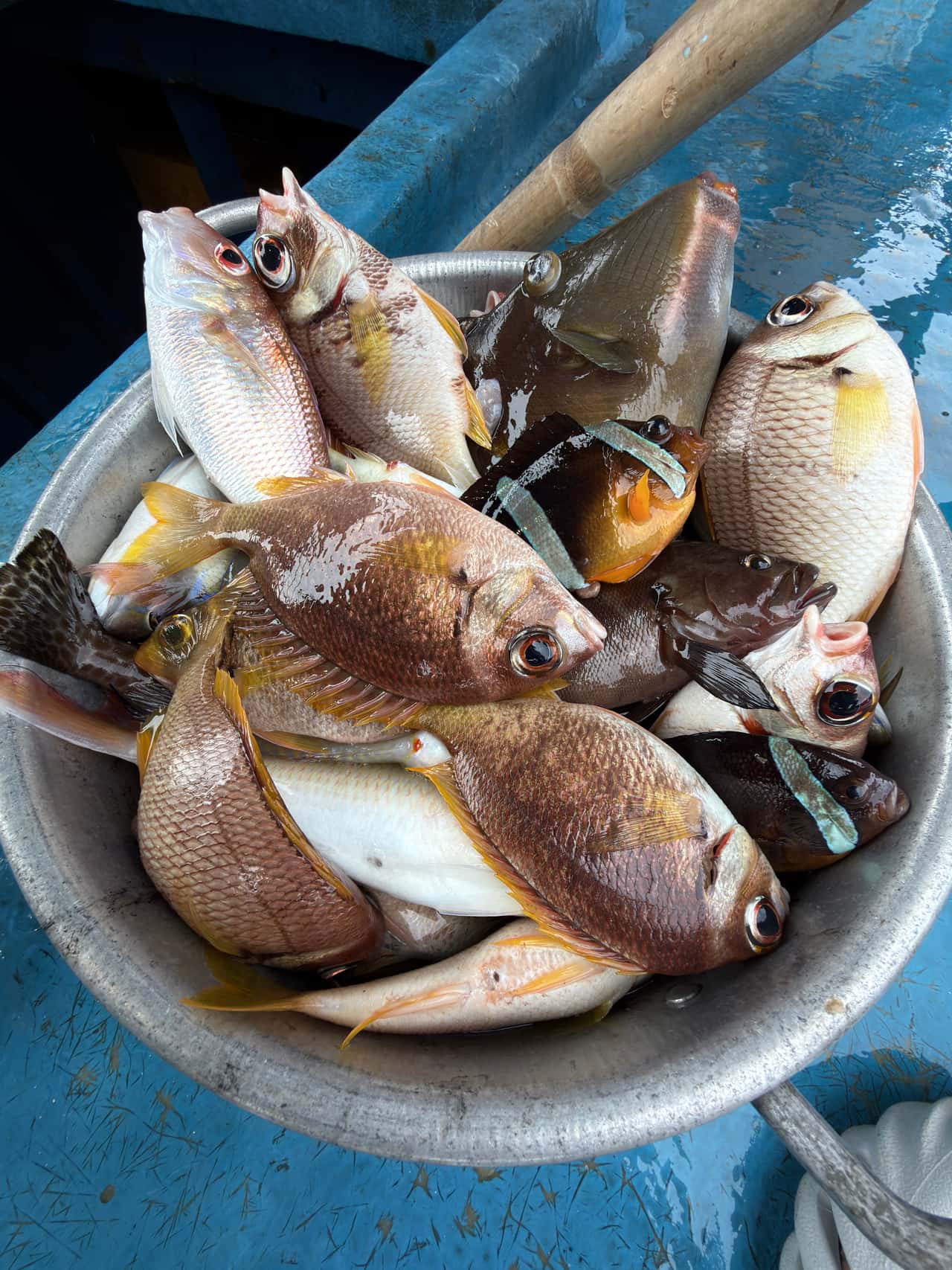 Всё прошло отлично! Спасибо ребятам за организацию. Я бы сказал, что очень комфортно и уютно на