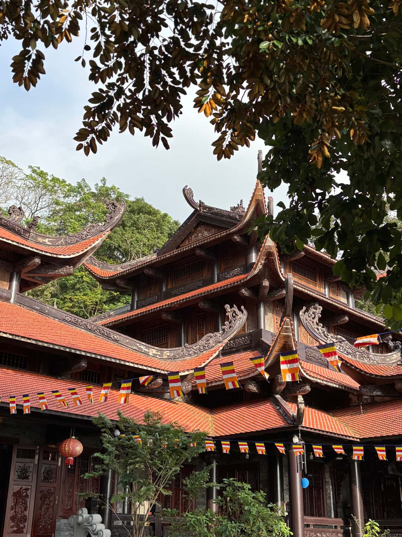 Очень понравилась экскурсия. Безумно красивая природа и локация. Элла очень интересно рассказывает, прям погружает в культуру.